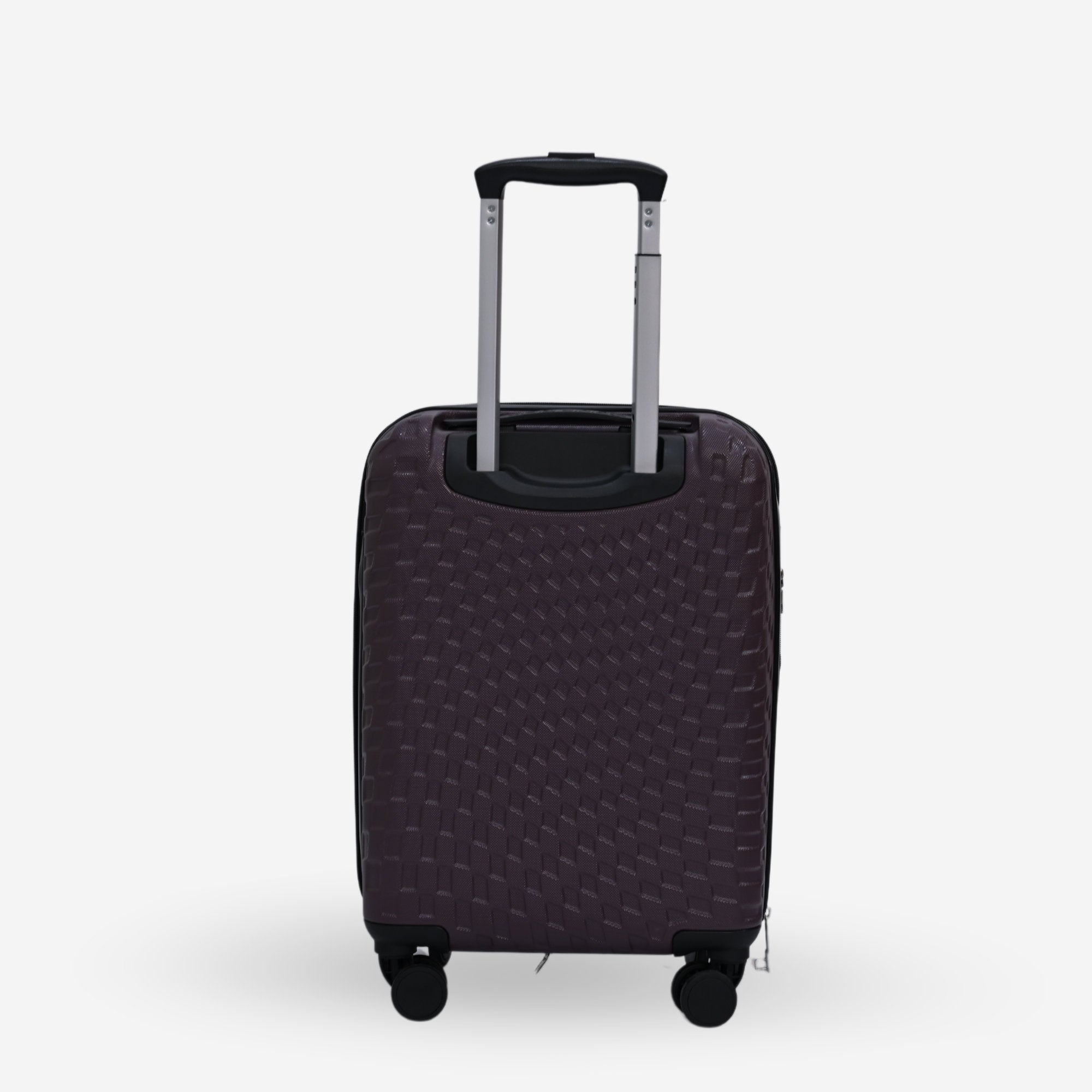 Calvin Klein Raisin Cabin Luggage_LH118WT4_RAI_03