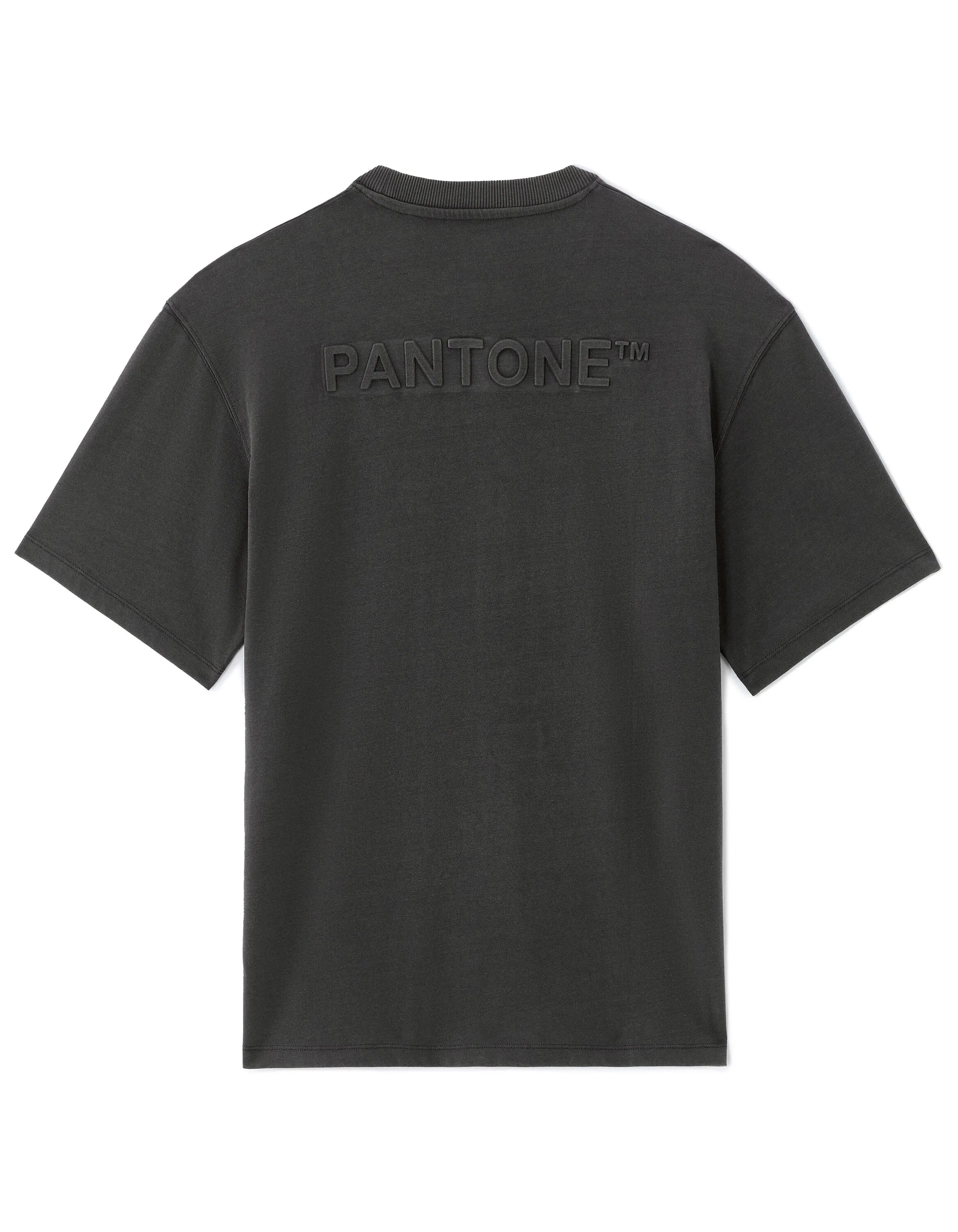 Celio_Anthracite_Pantone T-Shirt_LMEPAN2_ANTHRACITE_03
