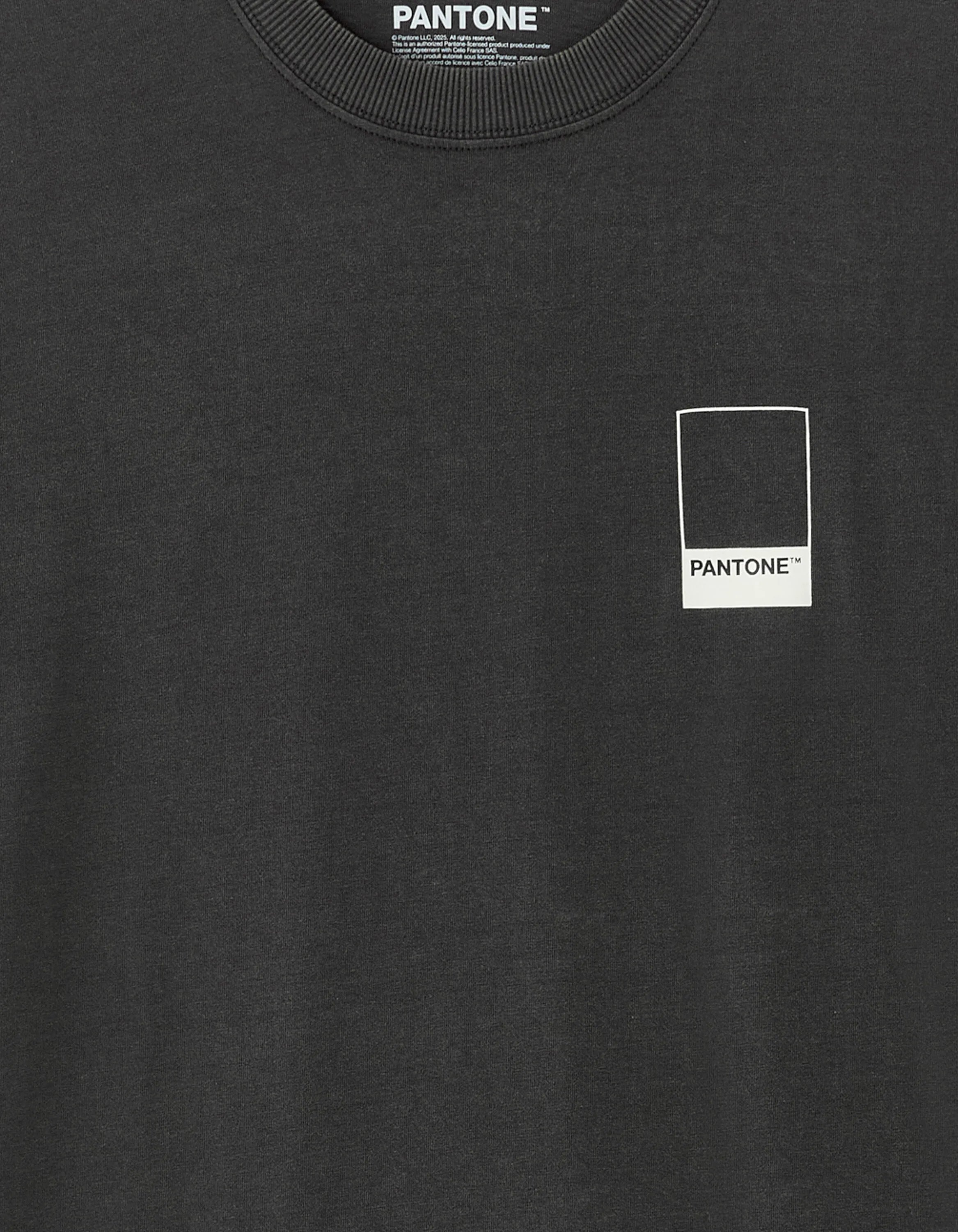 Celio_Anthracite_Pantone T-Shirt_LMEPAN2_ANTHRACITE_04