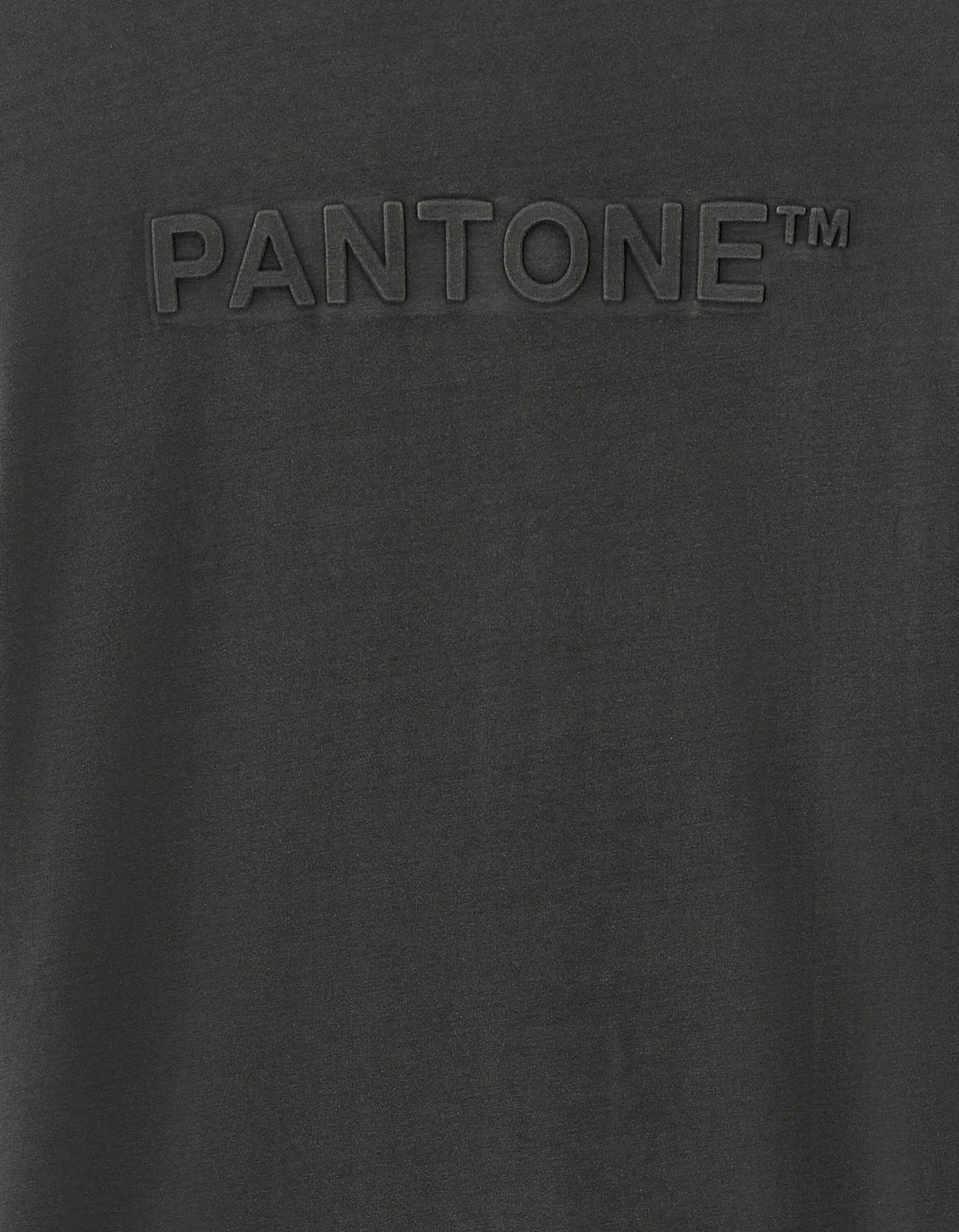 Celio_Anthracite_Pantone T-Shirt_LMEPAN2_ANTHRACITE_05