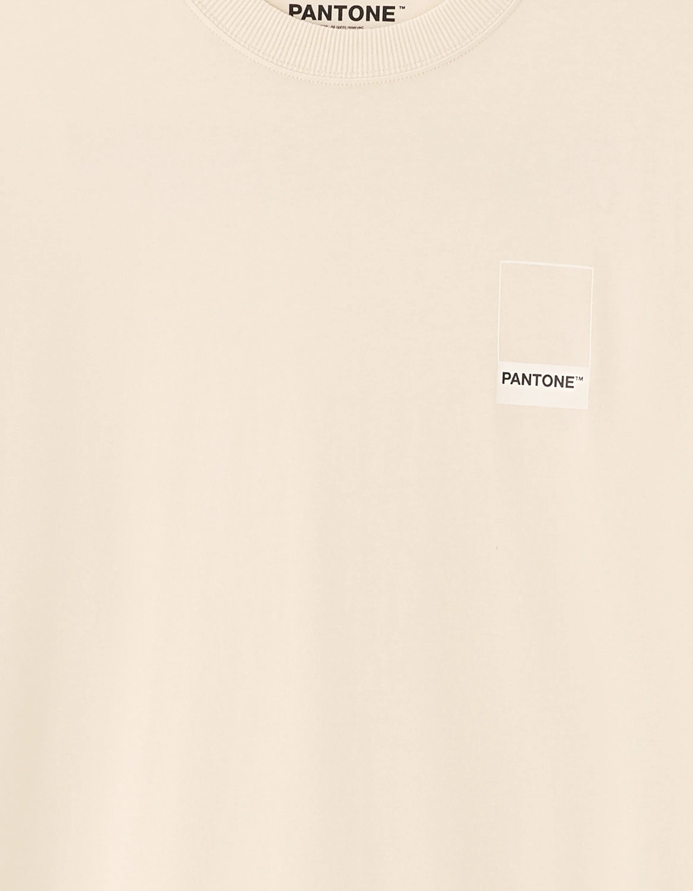 Celio_Off White_Pantone T-Shirt_LMEPAN2_OFF WHITE_03