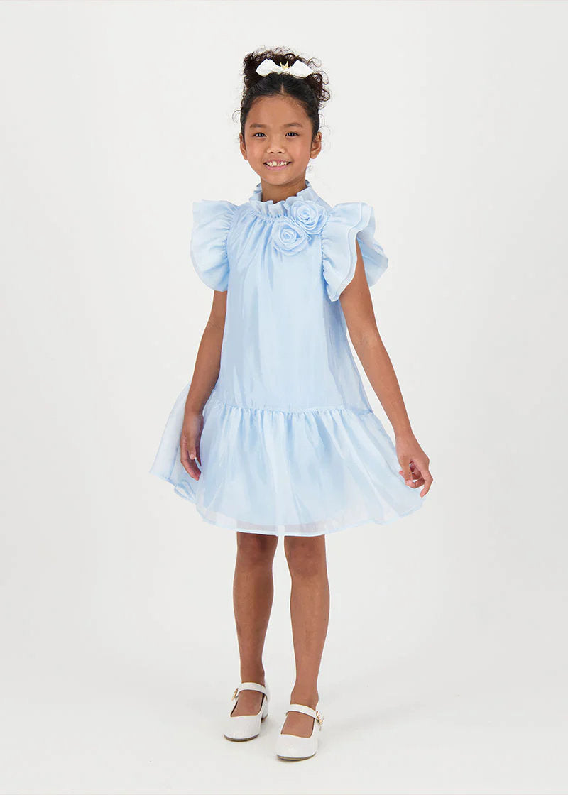 Loreen Flowers Trim Dress Pale Blue_LOREEN_Pale Blue_02