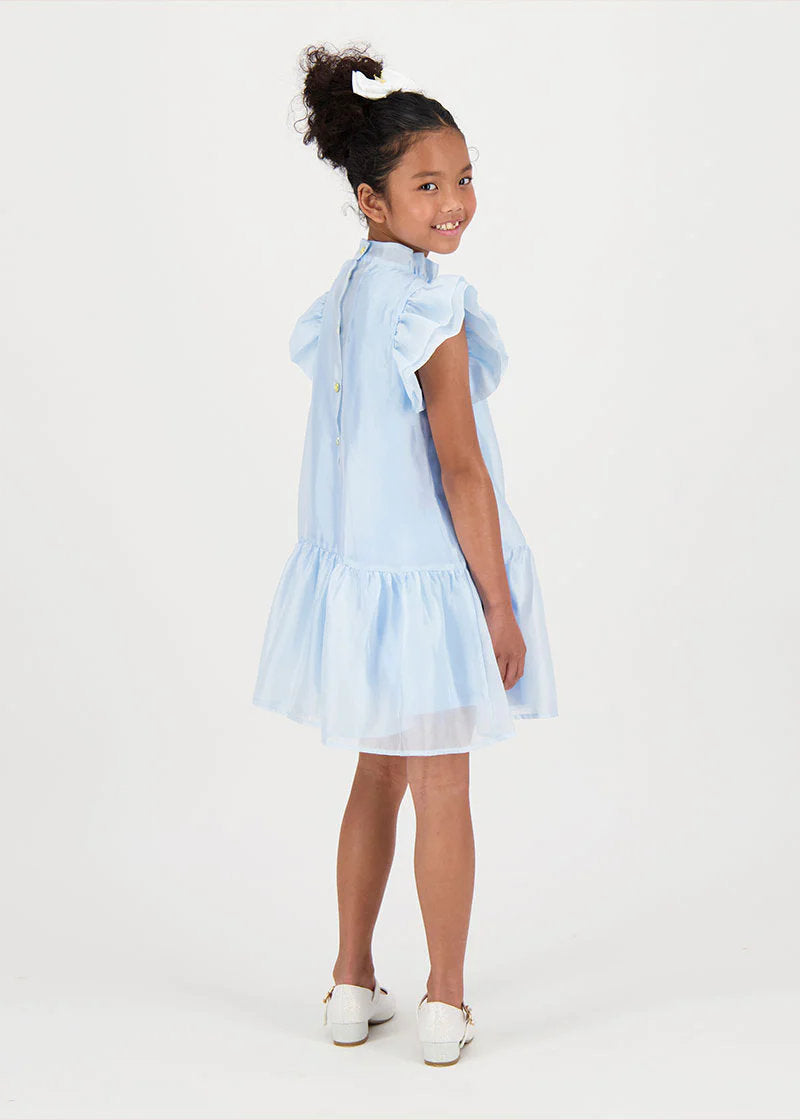 Loreen Flowers Trim Dress Pale Blue_LOREEN_Pale Blue_03