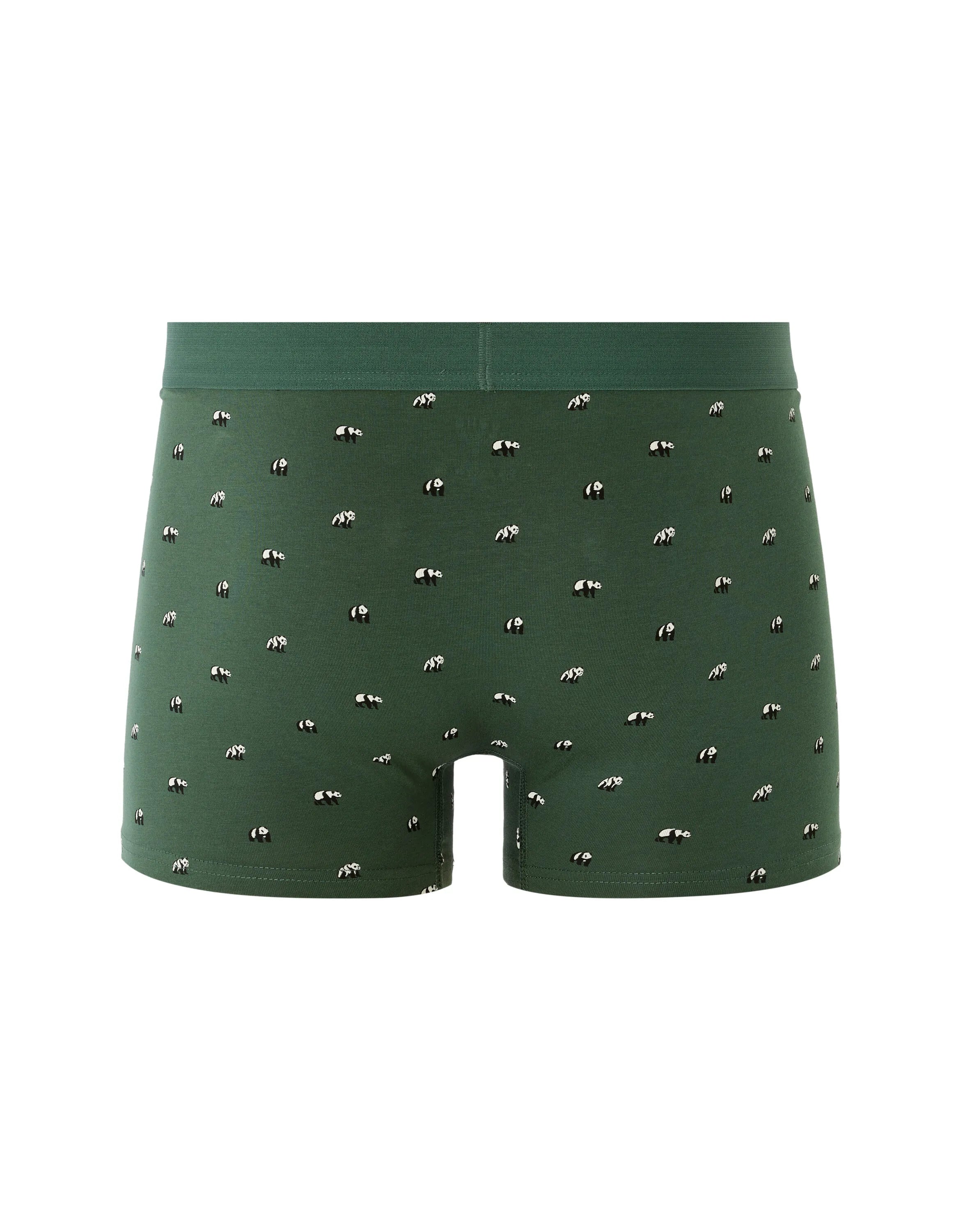 Celio_Kaki_Panda Patterned Boxer Shorts_MIBOPANDA_KAKI_02