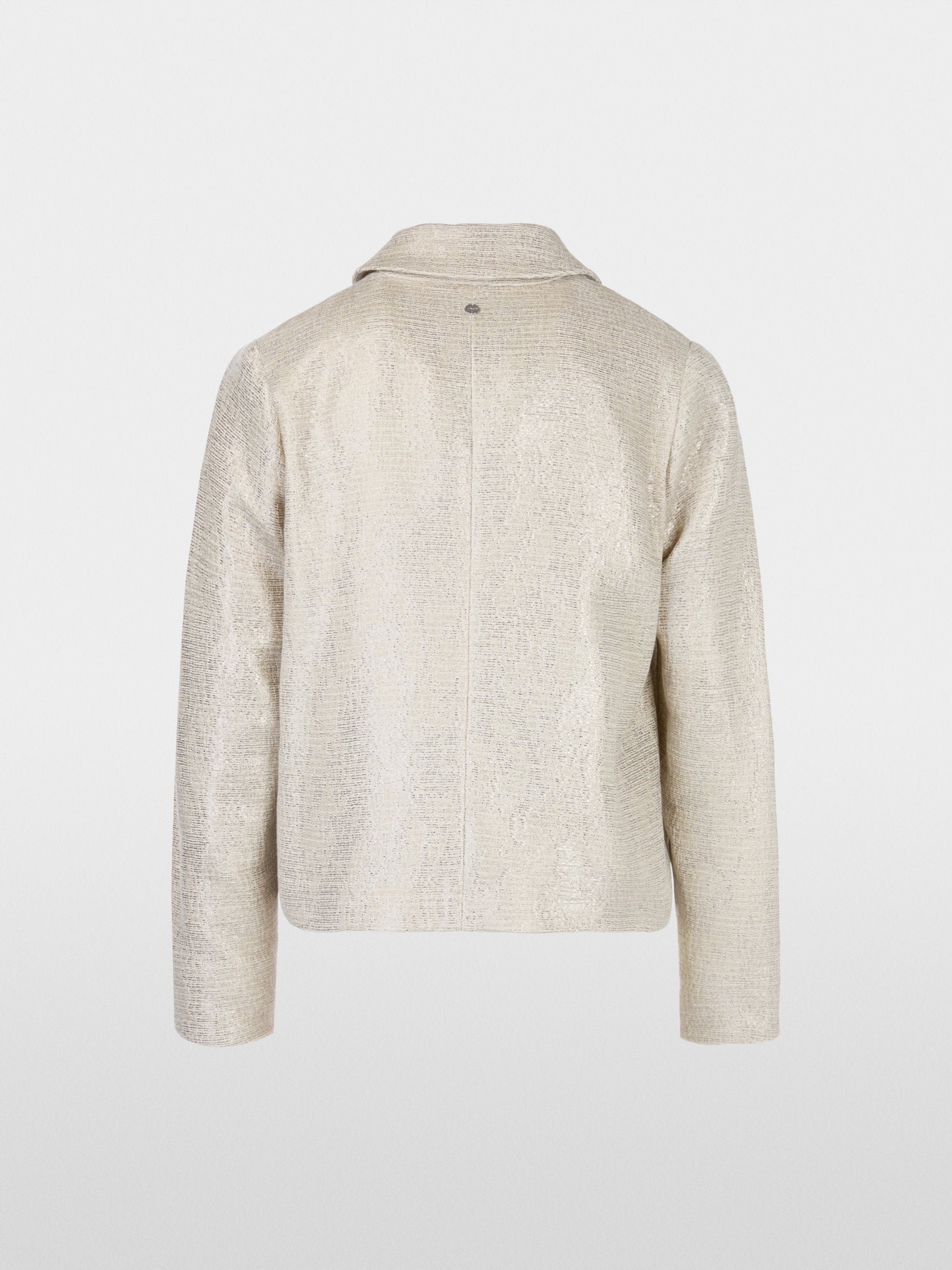 Jacket with Subtle Shimmer_YC 31.06 W57_800_08