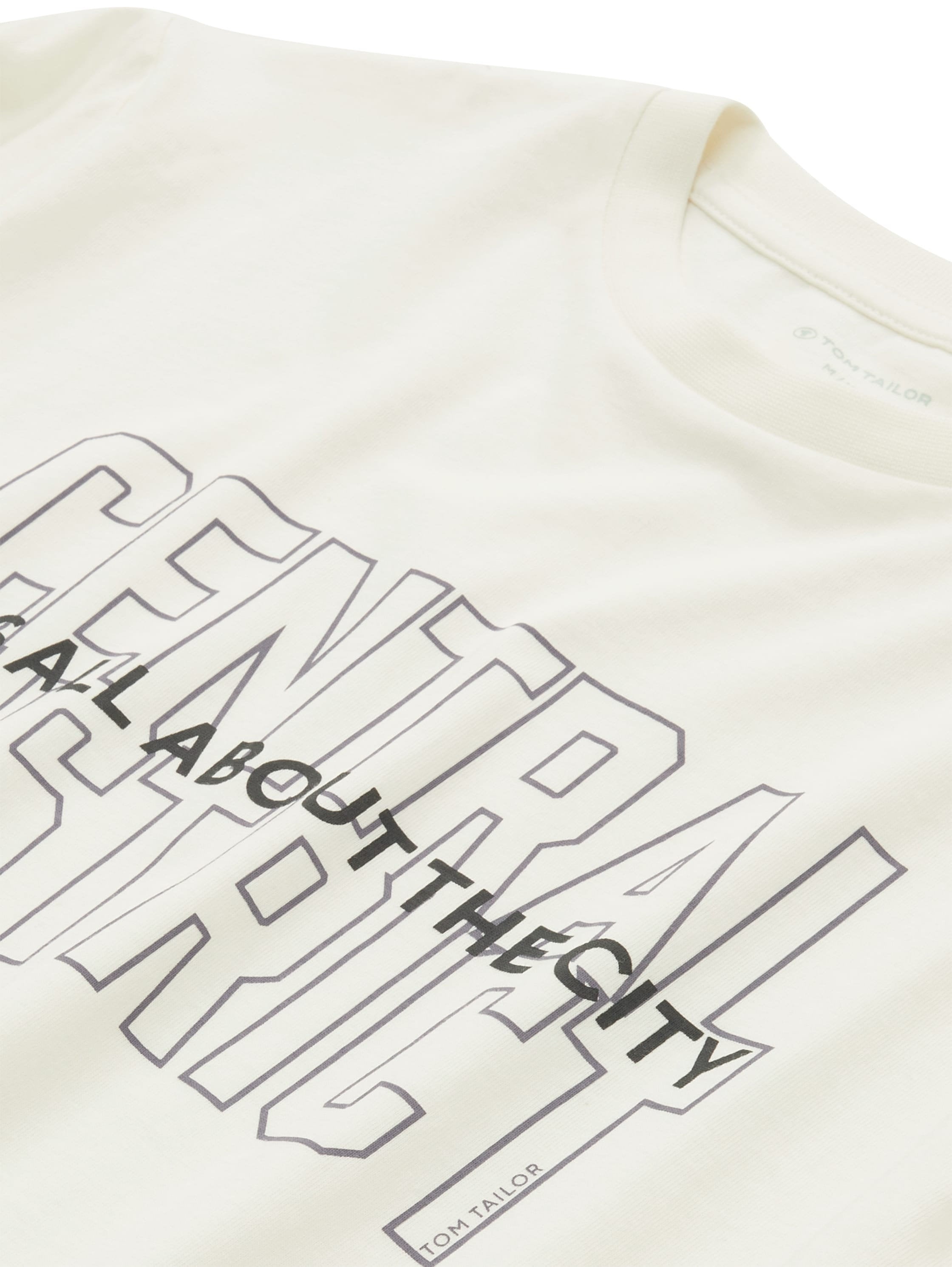Regular Printed Longsleeve T-Shirt_1037510_12906_03