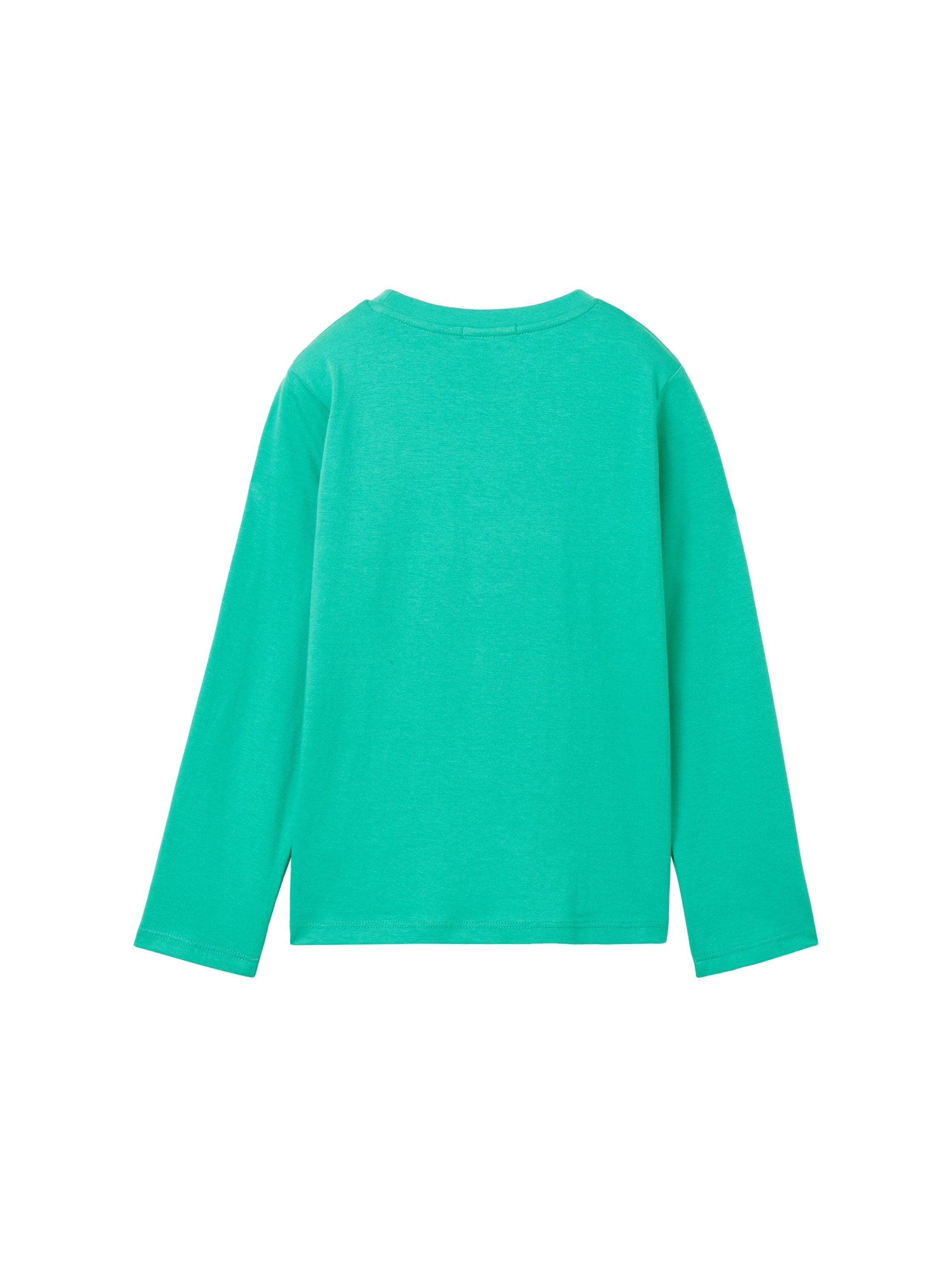 Printed Longsleeve T-Shirt_1037516_32262_02
