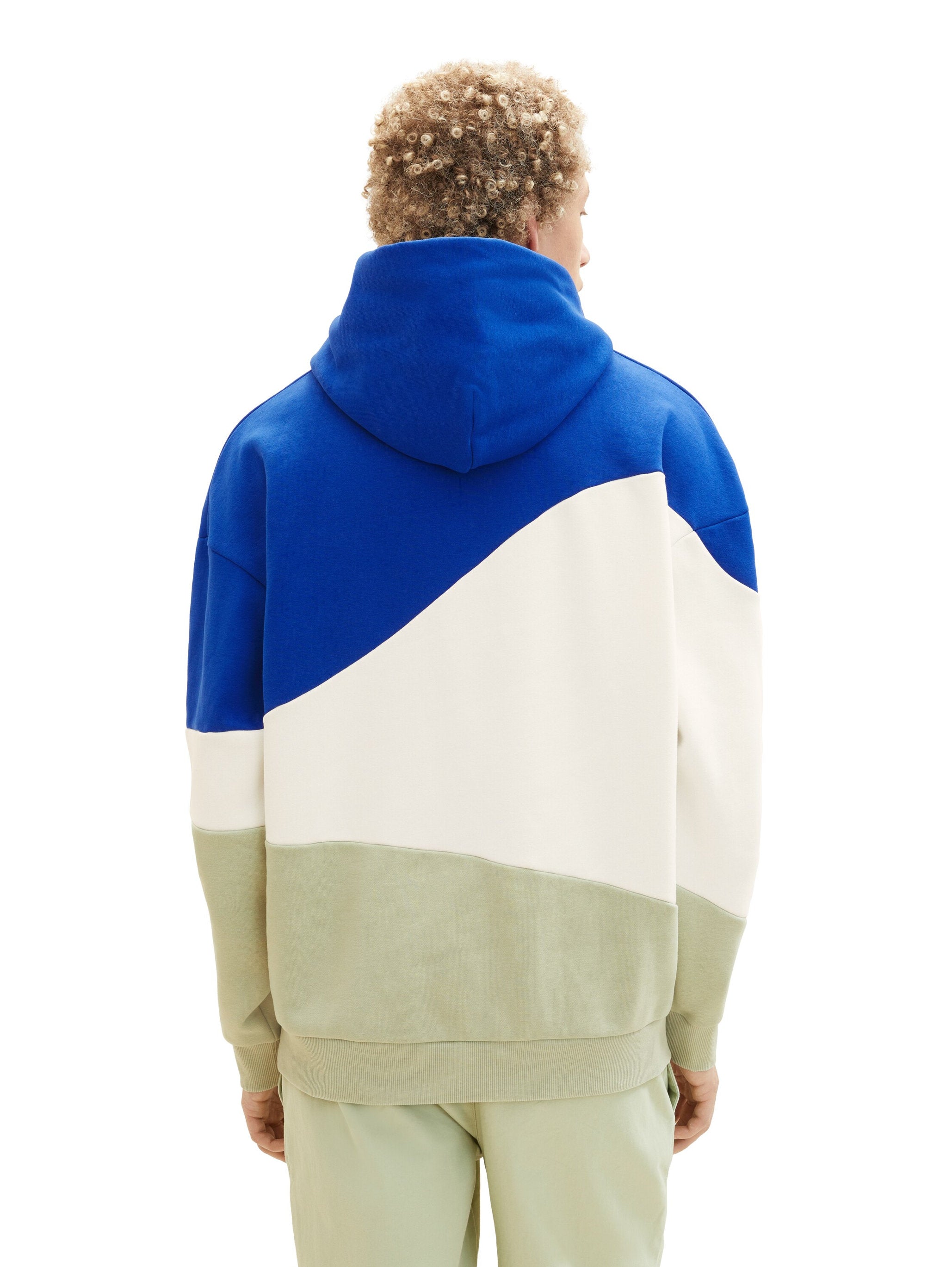 Relaxed Colorblock Hoodie_1037604_14531_04