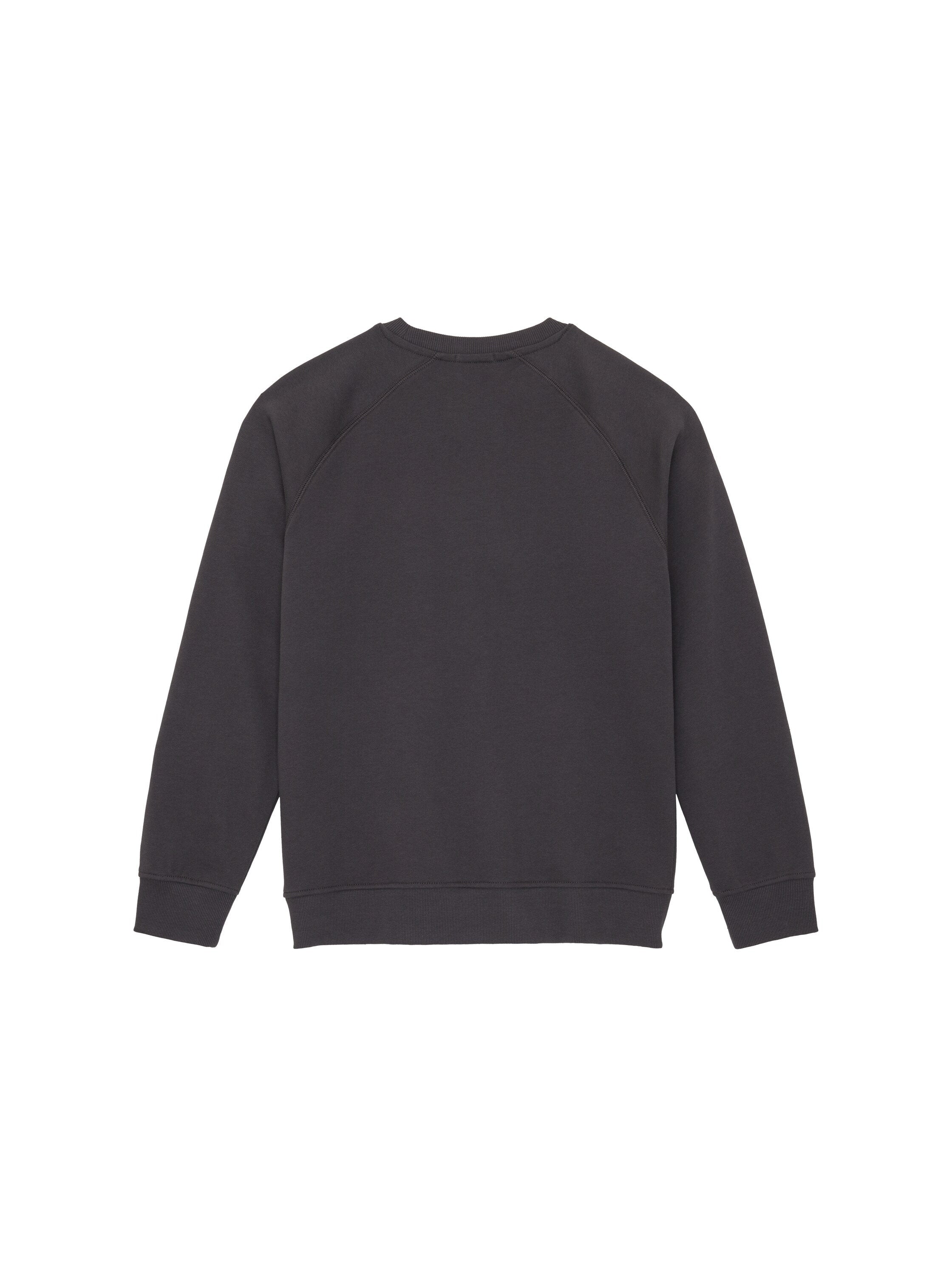 Oversized Raglan Sweatshirt_1037608_29476_02