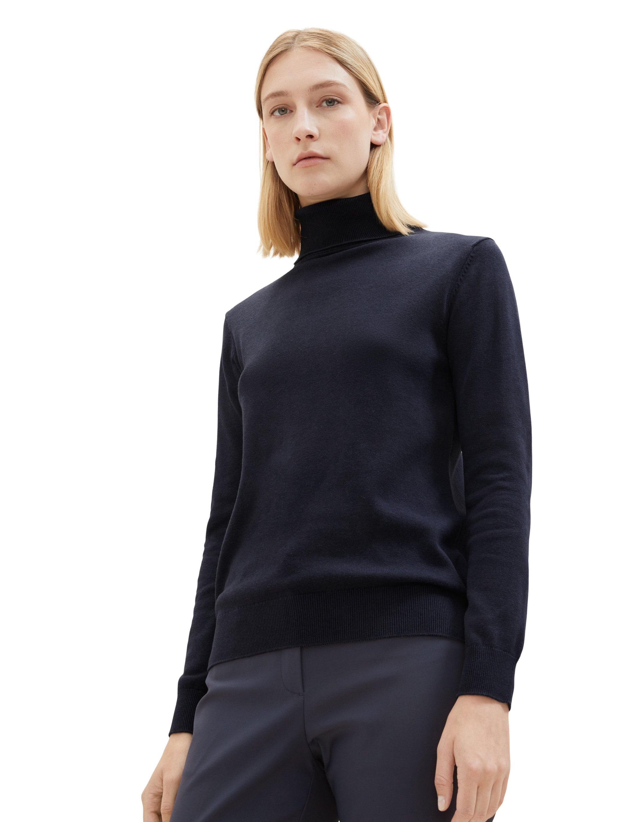 Knit Basic Turtleneck_1037746_10668_03