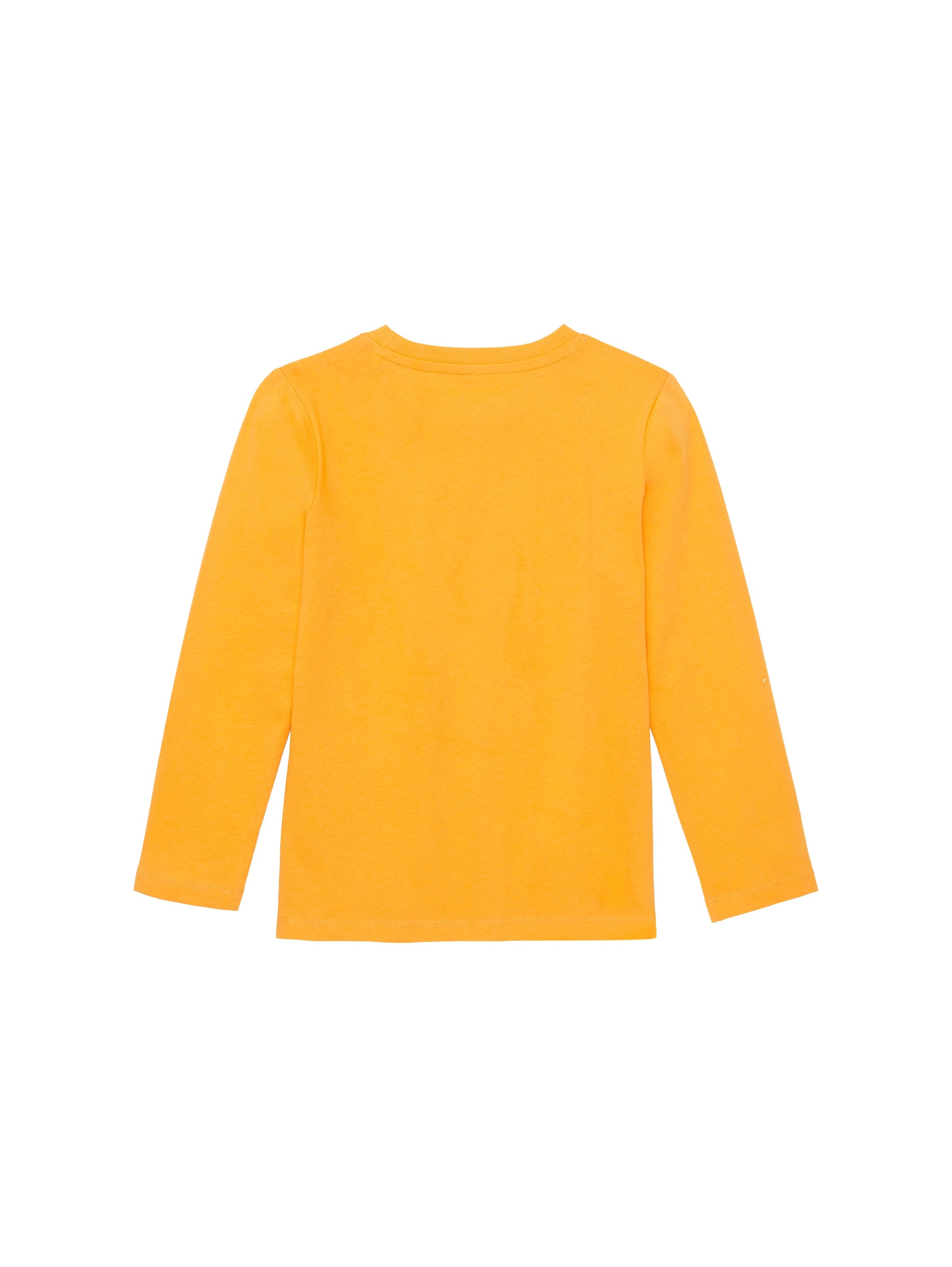 Printed Longsleeve T-Shirt_1037974_32258_02