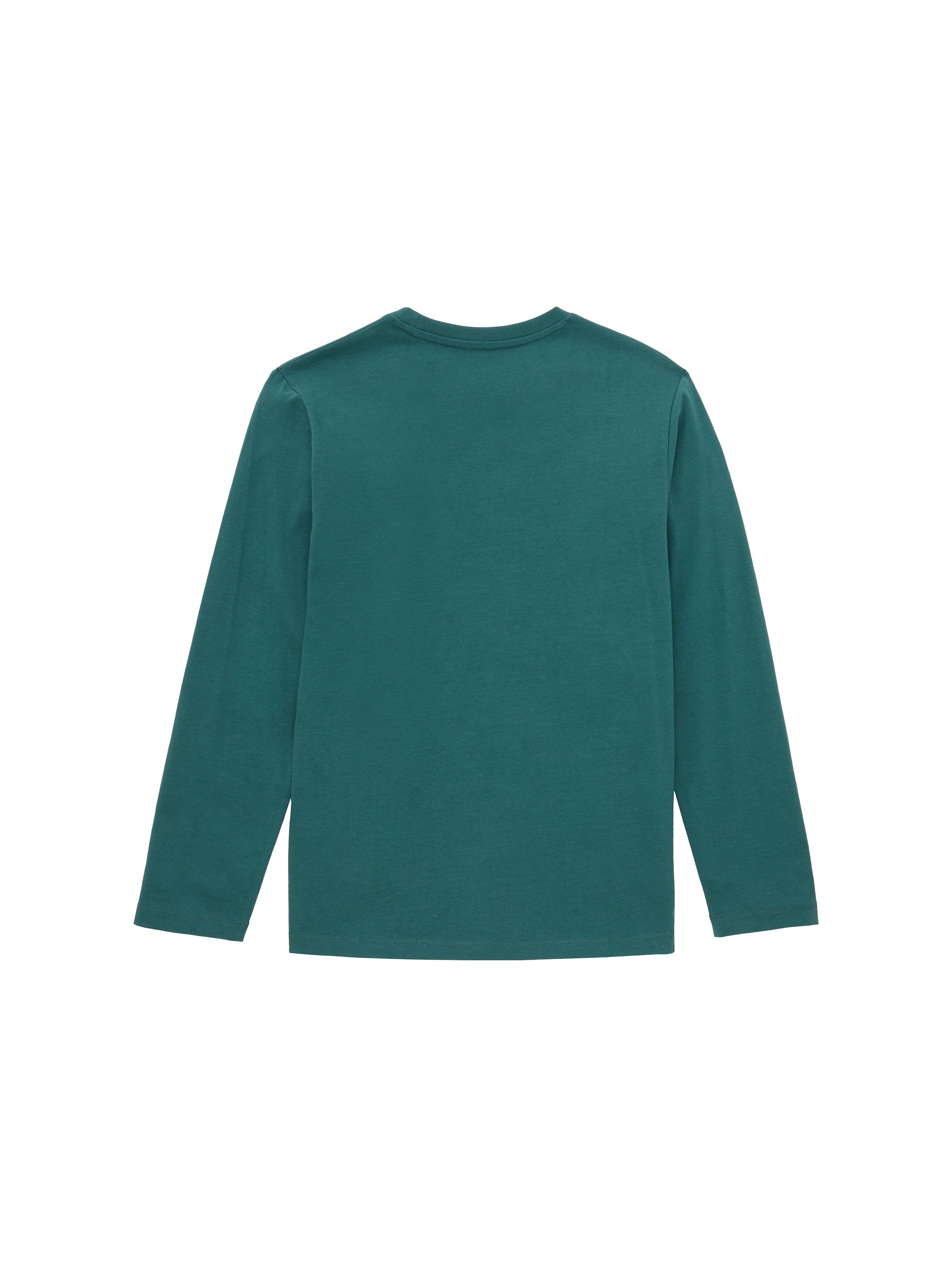 Regular Printed Longsleeve T-Shirt_1037979_14171_02