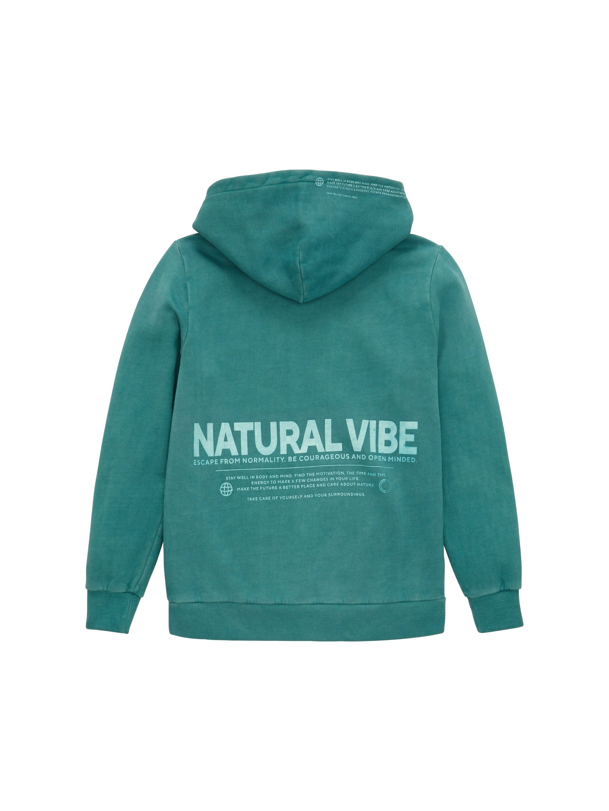 Garment Dye Printed Hoody_1038309_14171_02