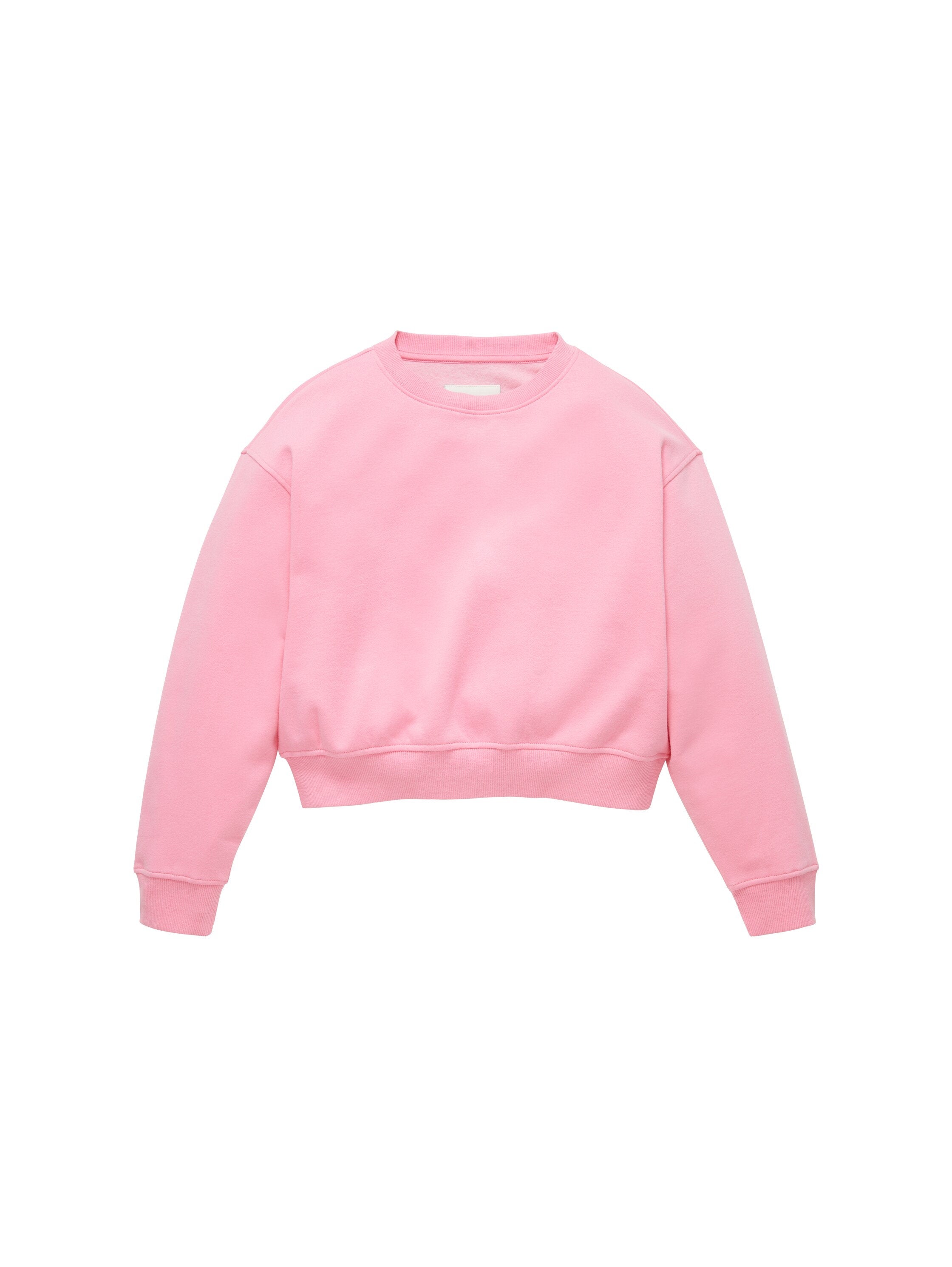 Cropped Sweatshirt_1038955_23807_01