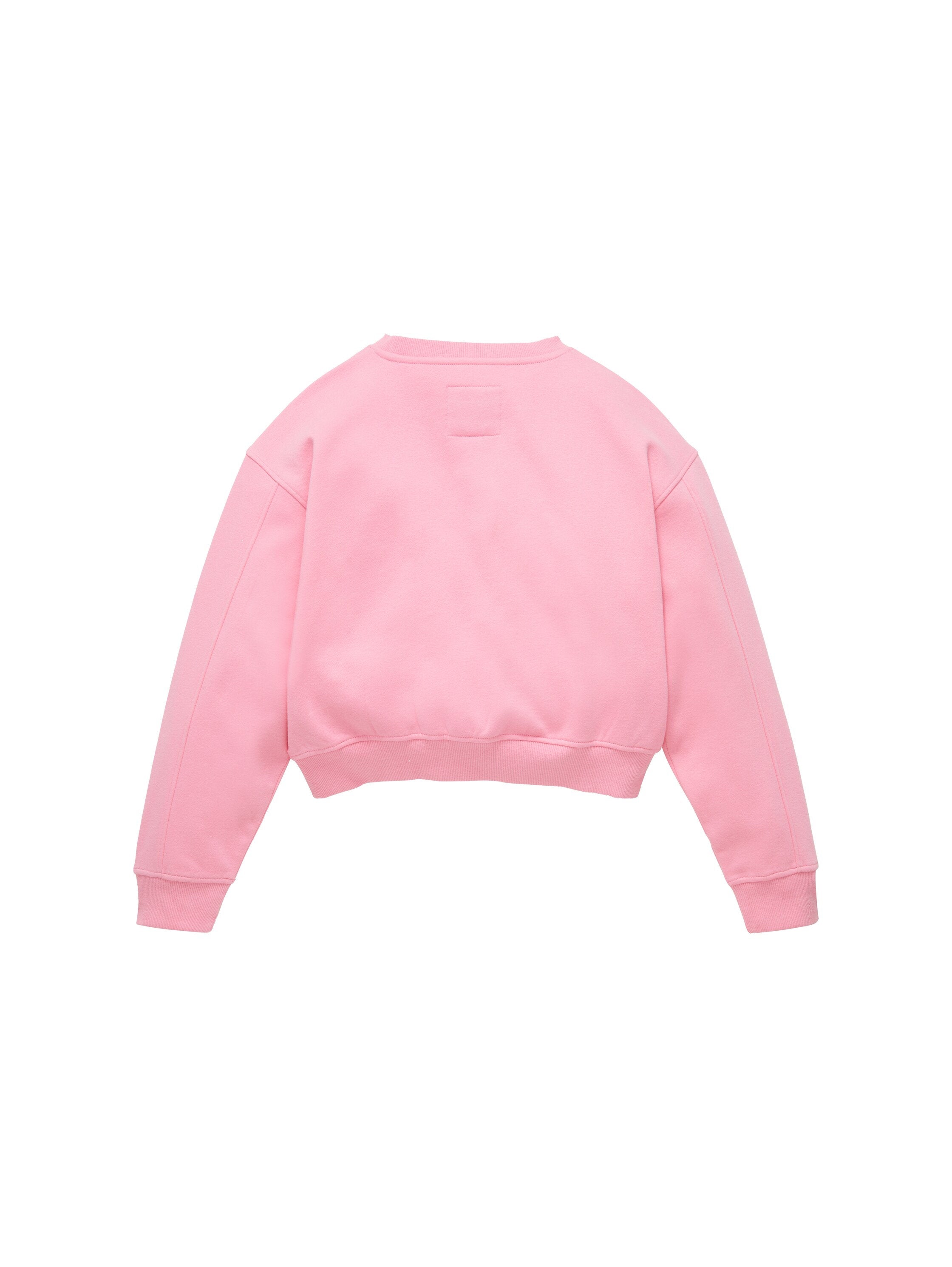 Cropped Sweatshirt_1038955_23807_02