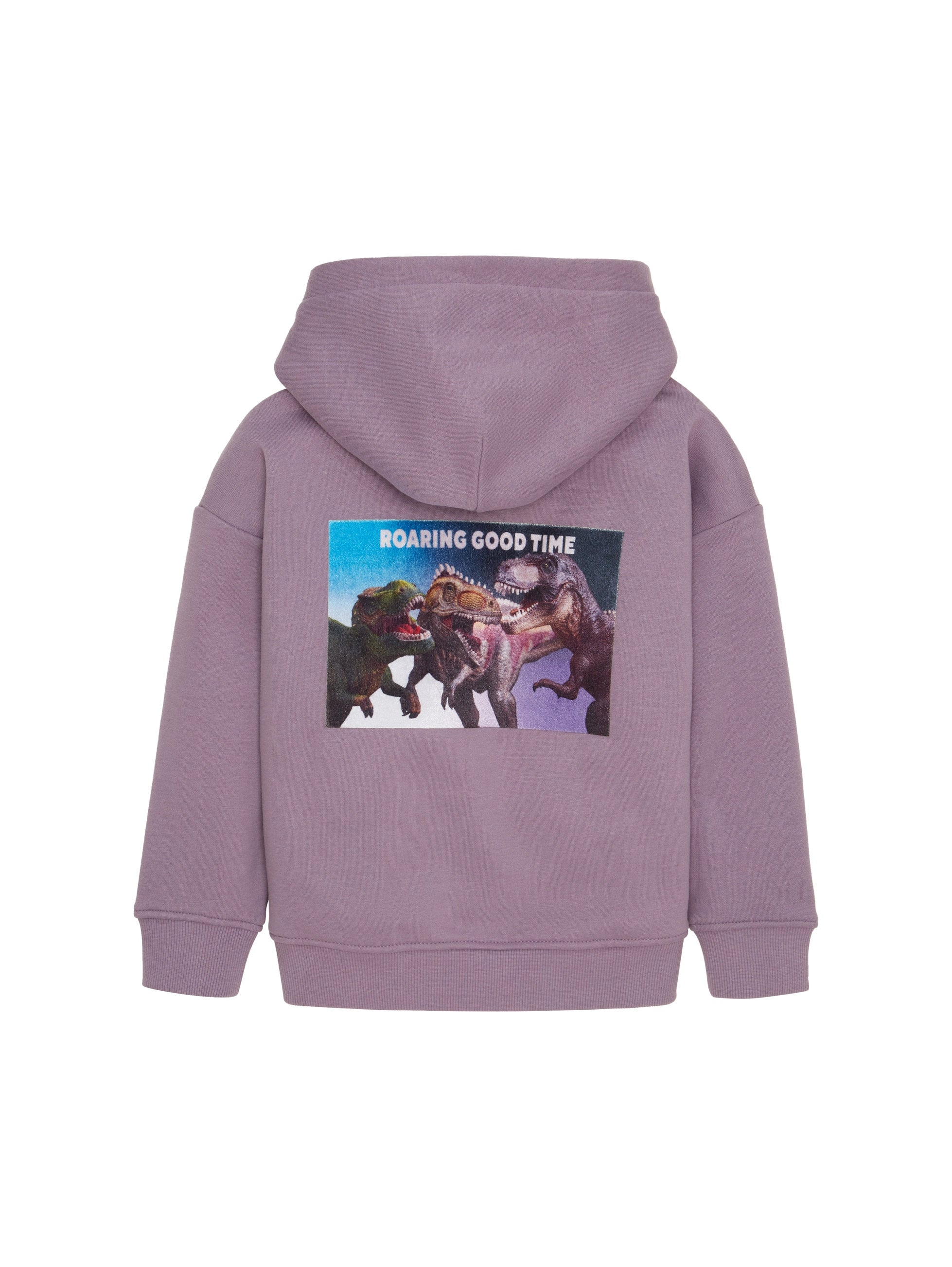 Oversize Velvet Printed Sweatshirt_1039175_32259_02