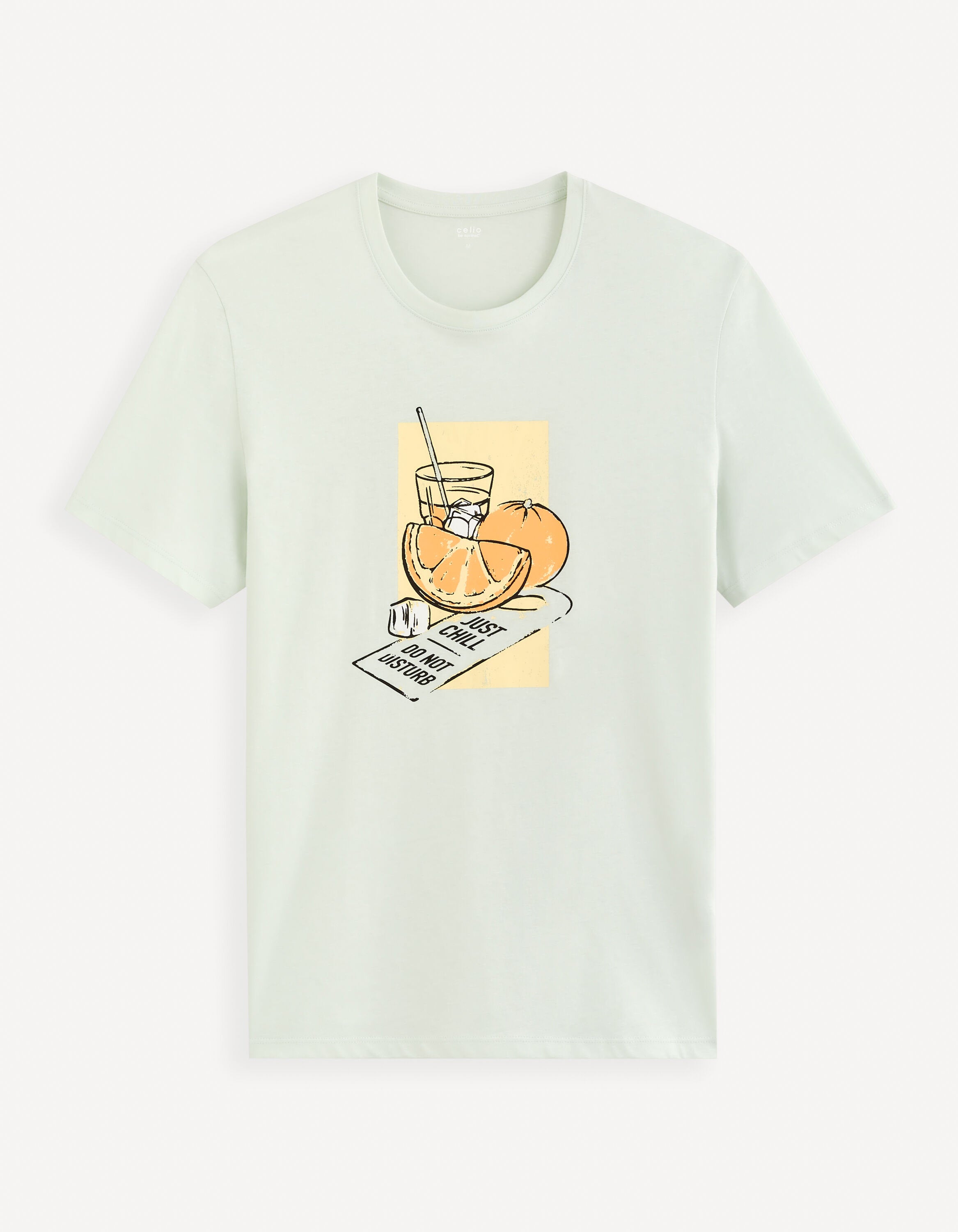 100% Cotton Round Neck T-Shirt - Light Green_FEGRUME_LIGHT GREEN_02