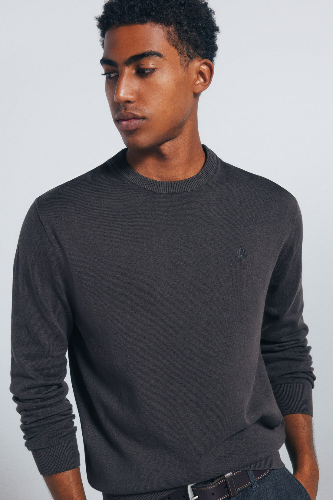 Springfield_Brown_Print_Basic Jumper_0062732_39_02