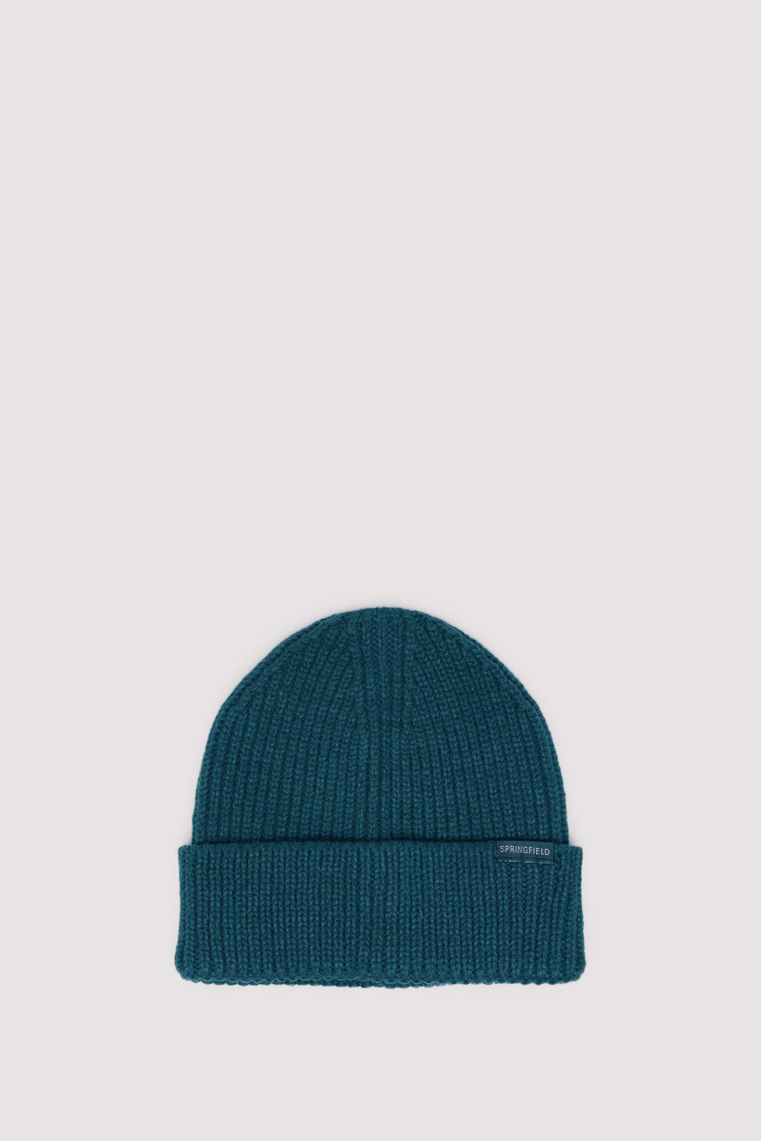 Springfield_Green_Basic Beanie_0122833_22_01