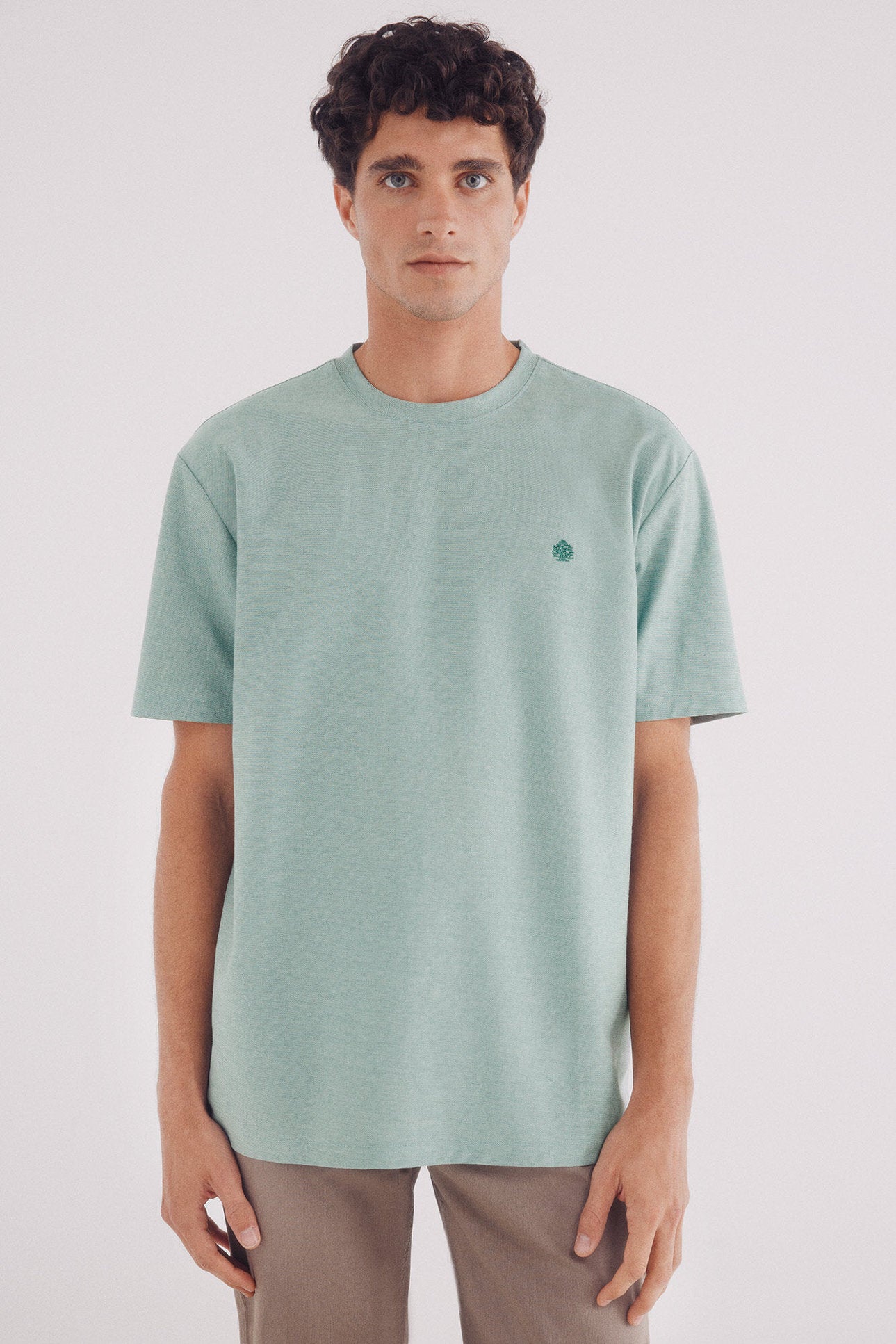 Springfield_Oxford PiquŽ T-Shirt_0249036_25_01