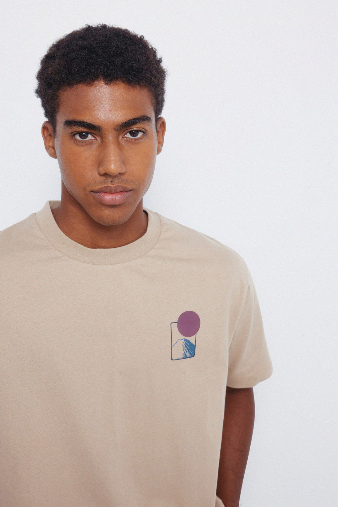 Springfield_Beige_Mount Fuji T-Shirt_0262914_51_02