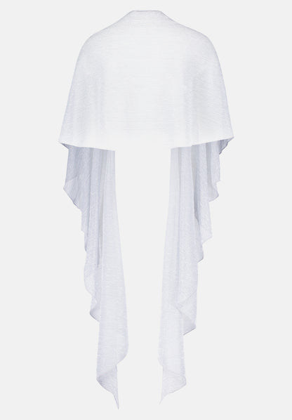 Vera Mont_Grey/Silver_Cape in a Glitter Look_0376-4208_9894_05