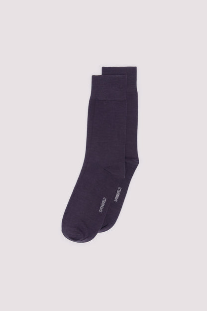 Springfield_Basic Long Sock_0479062_11_01