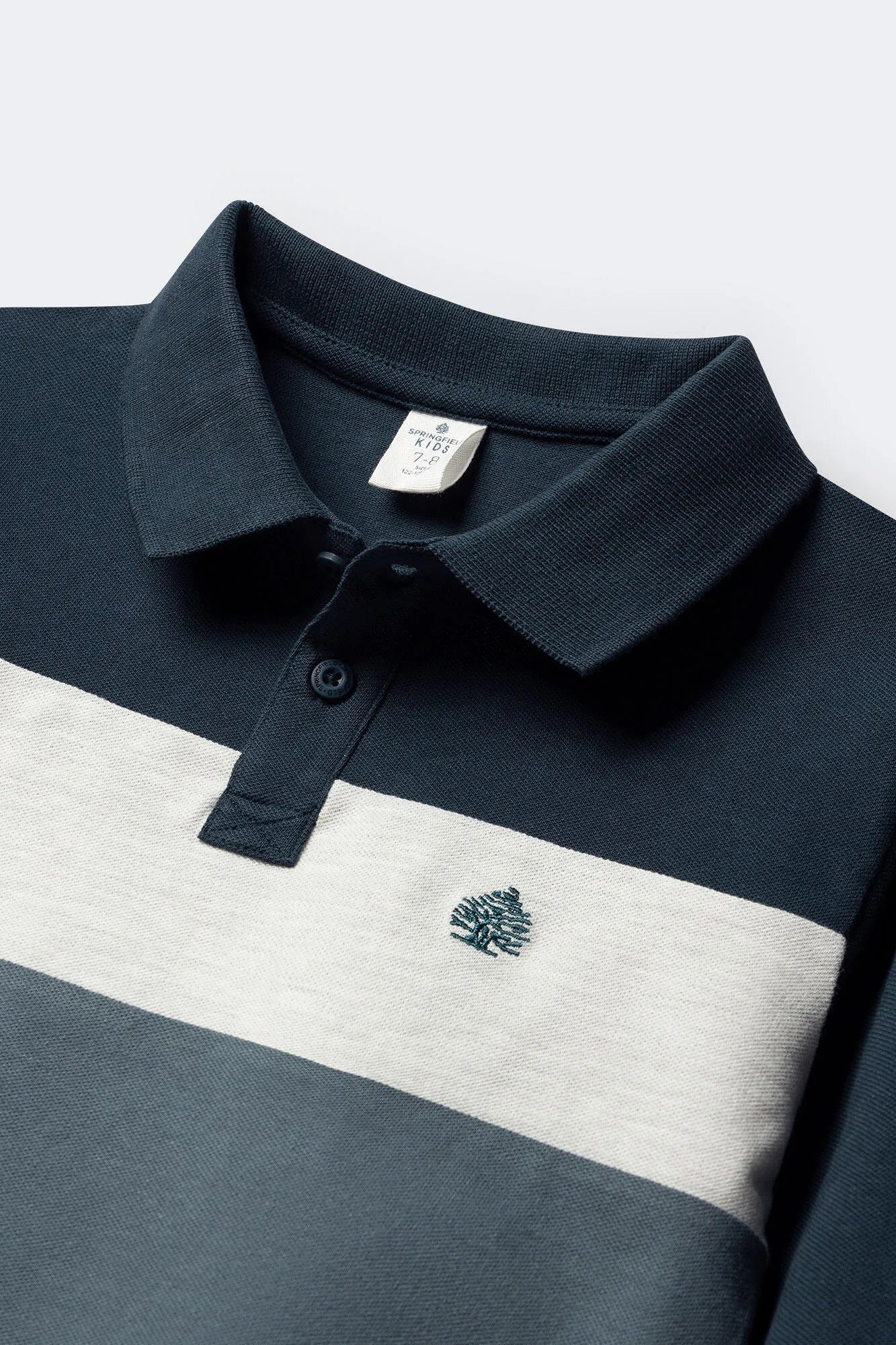 Springfield_Blues_Boy&