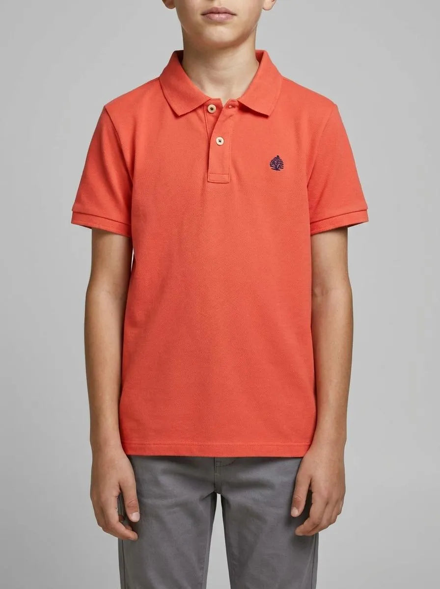 Springfield Red Boys Basic Polo Shirt SKU: 0643121_59 Image 00