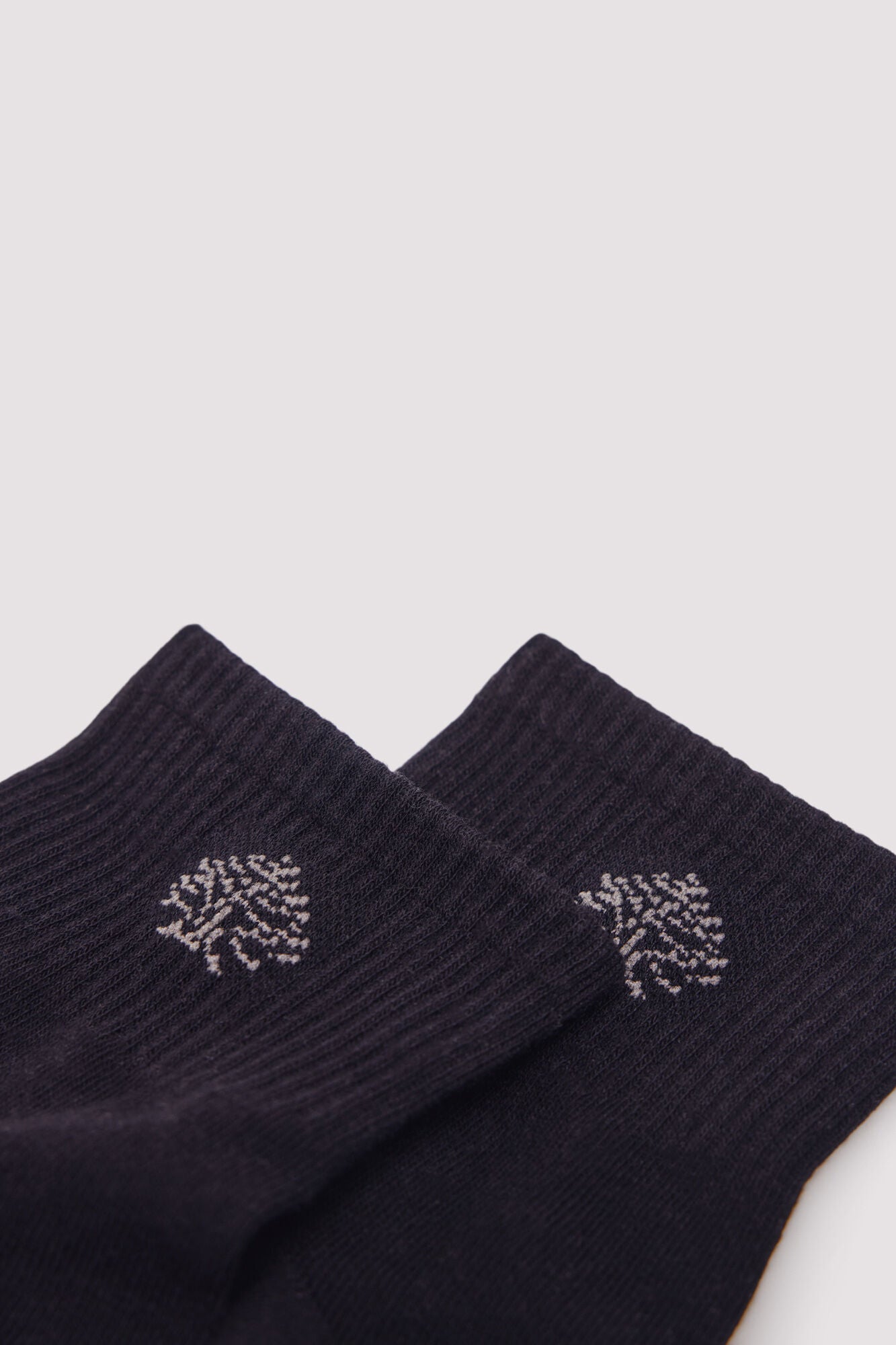 Springfield_Black_Ribbed Sports Ankle Socks_0652092_01_02