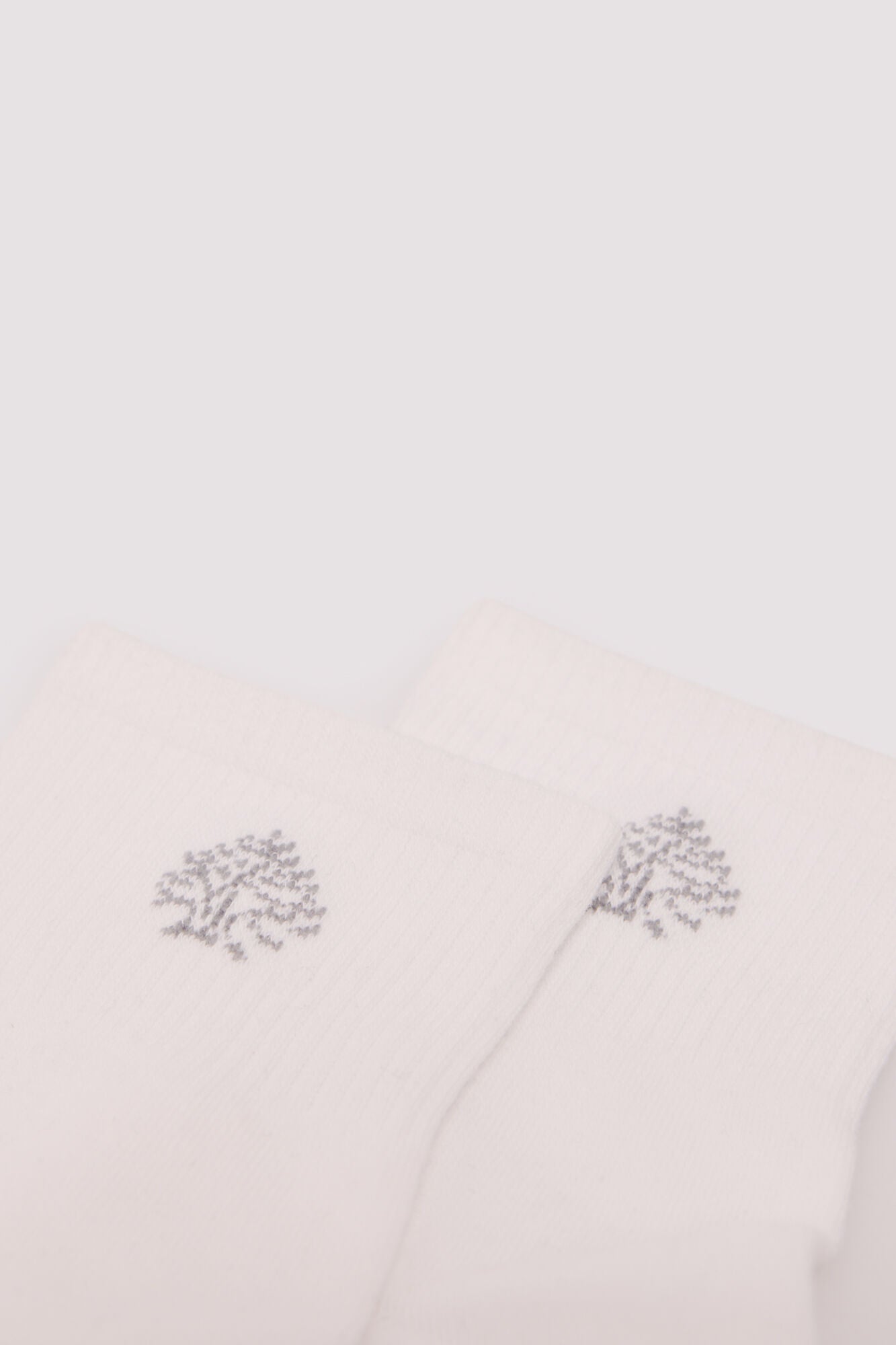 Springfield_White_Ribbed Sports Ankle Socks_0652092_99_02