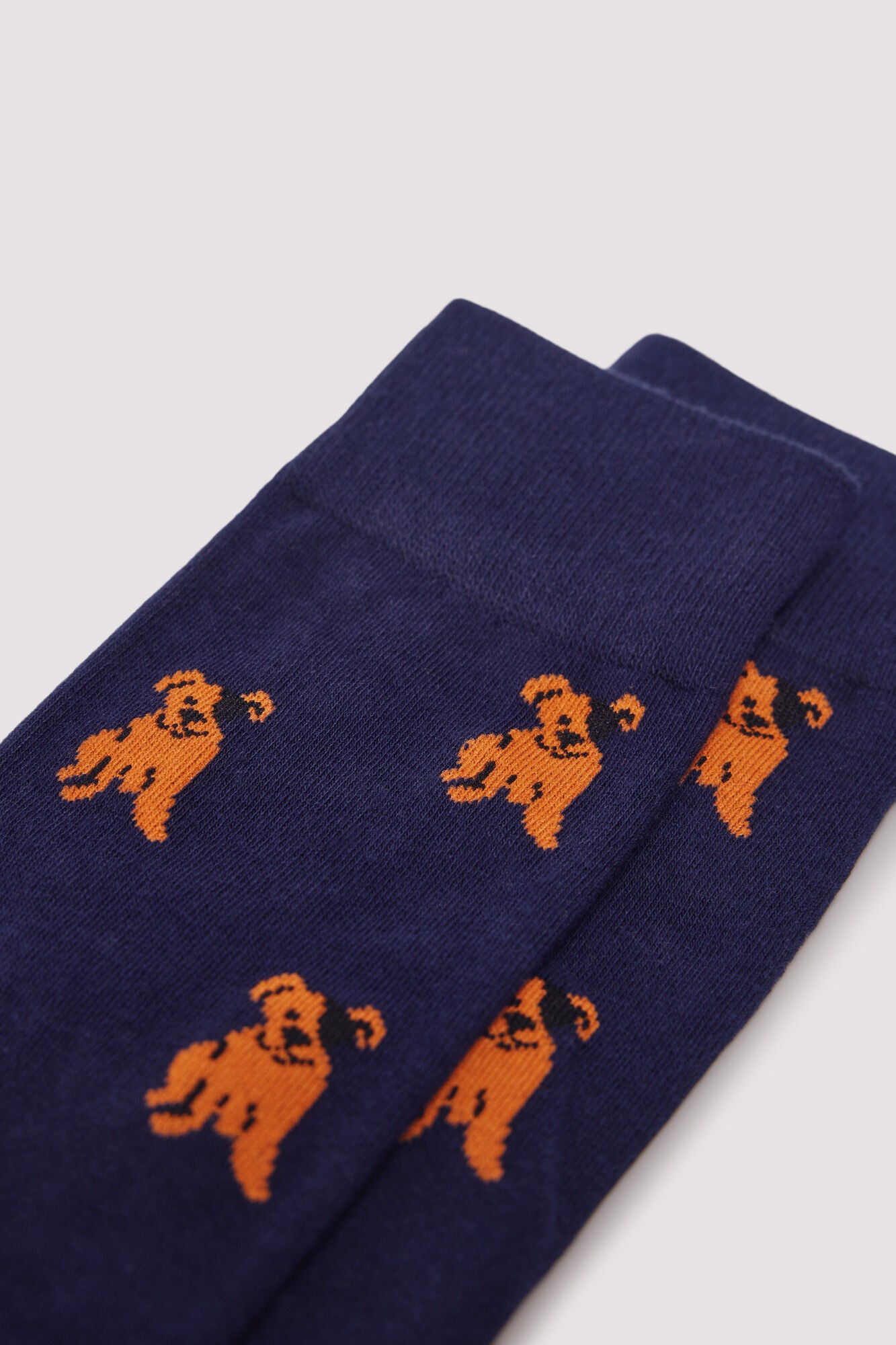 Springfield_Medium_Blue_Cotton Puppy Sock_0652095_12_02