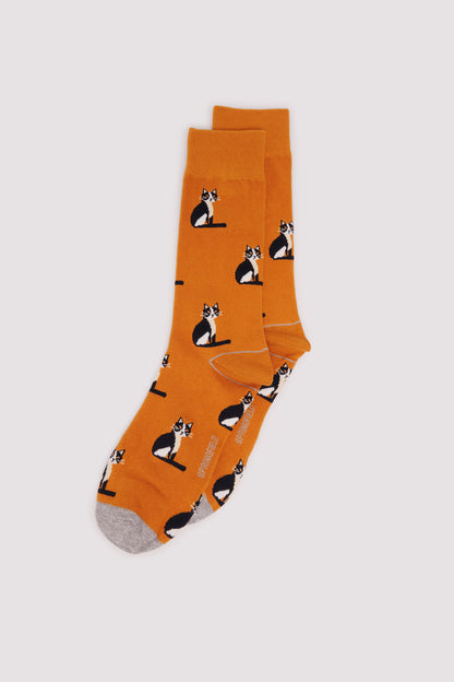 Springfield_Orange_Cat Cotton Sock_0652115_65_01