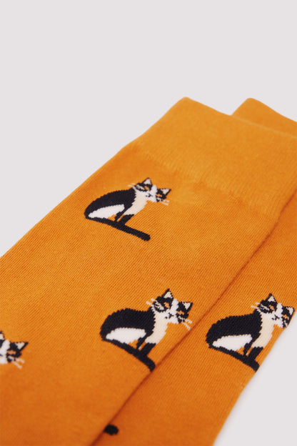 Springfield_Orange_Cat Cotton Sock_0652115_65_02