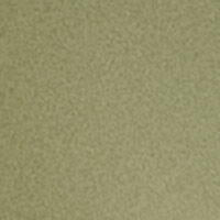 Green Brazilian Brief_0877611_21_03