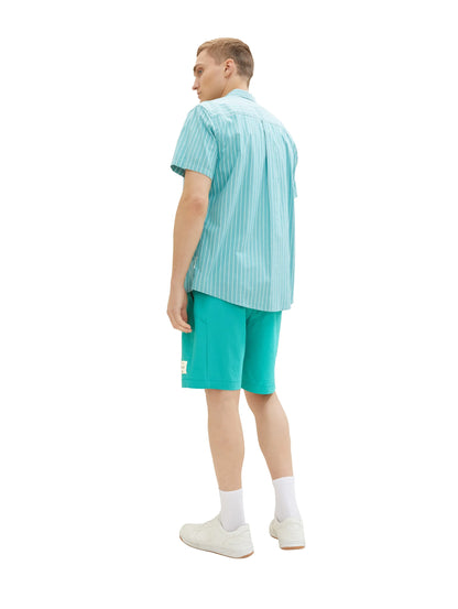 Denim Tom Tailor Deep Turquoise Men Relaxed Shorts SKU: 1036278_31044 Image 04