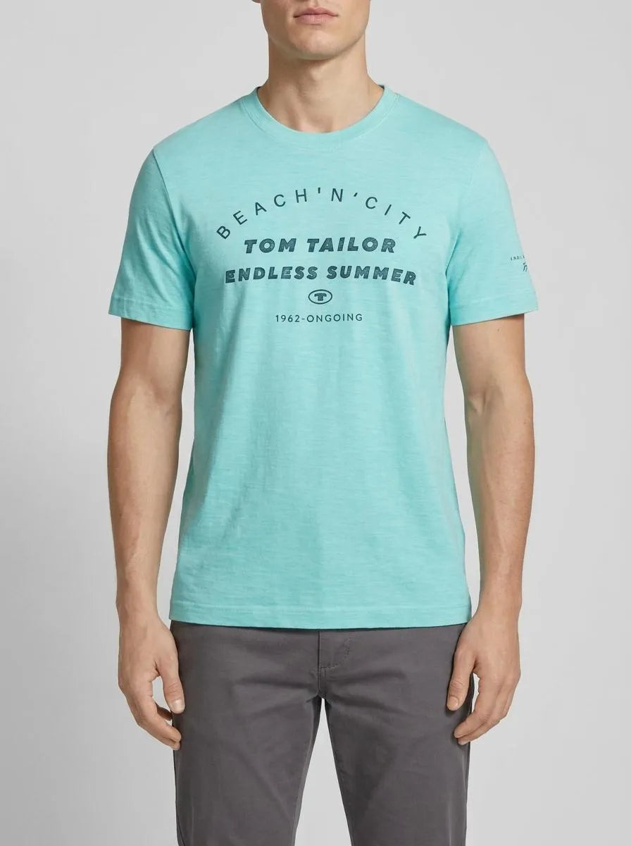 Tom Tailor Aqua Streaky Melange Men T-Shirt with a Print SKU: 1036418_32036 Image 00