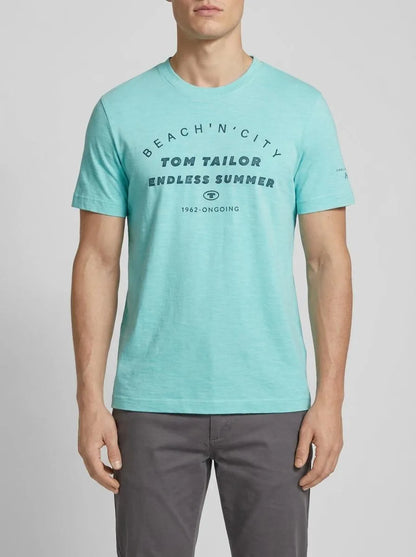 Tom Tailor Aqua Streaky Melange Men T-Shirt with a Print SKU: 1036418_32036 Image 00