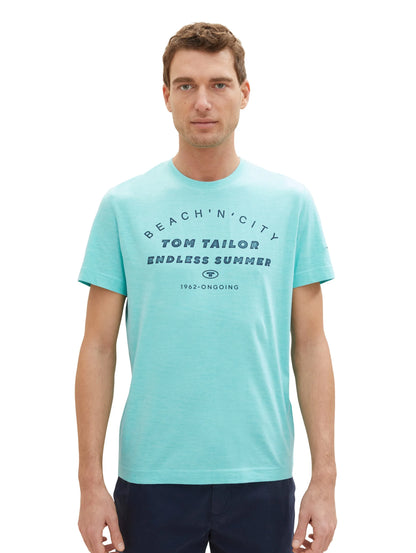 Tom Tailor Aqua Streaky Melange Men T-Shirt with a Print SKU: 1036418_32036 Image 05