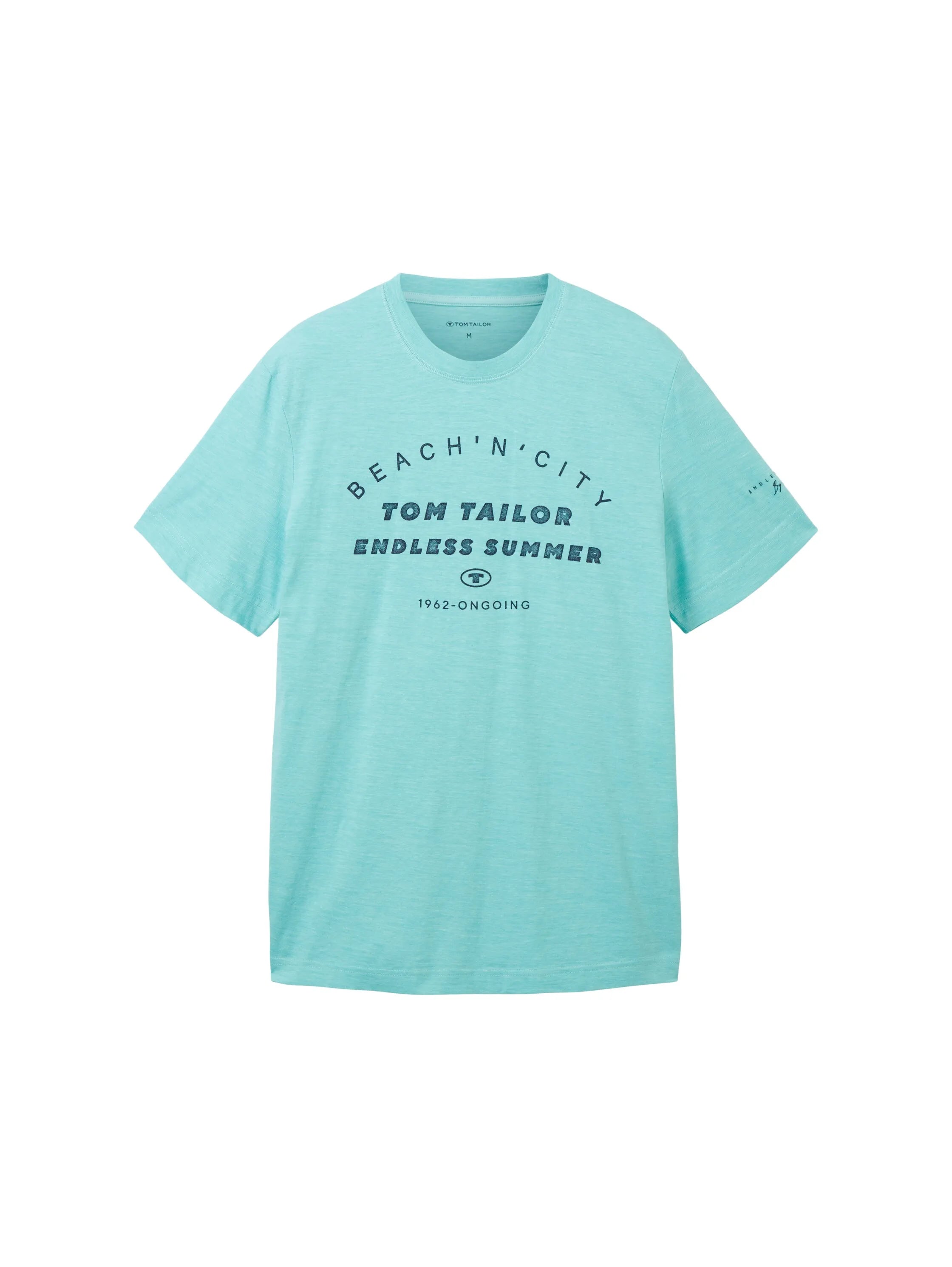 Tom Tailor Aqua Streaky Melange Men T-Shirt with a Print SKU: 1036418_32036 Image 07