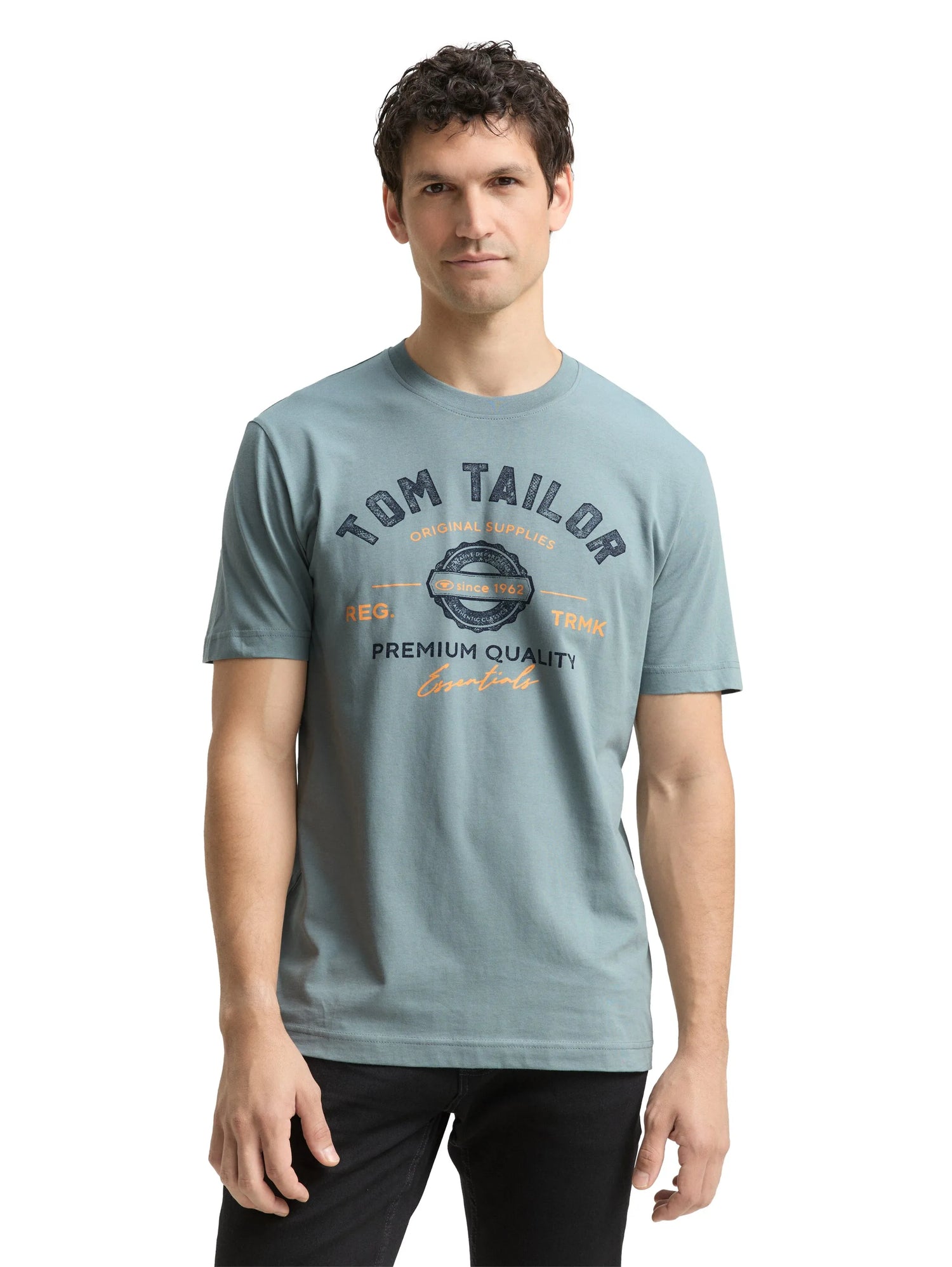 Tom Tailor Grey Mint Men T-Shirt with Logo Print SKU: 1037735_27475 Image 04