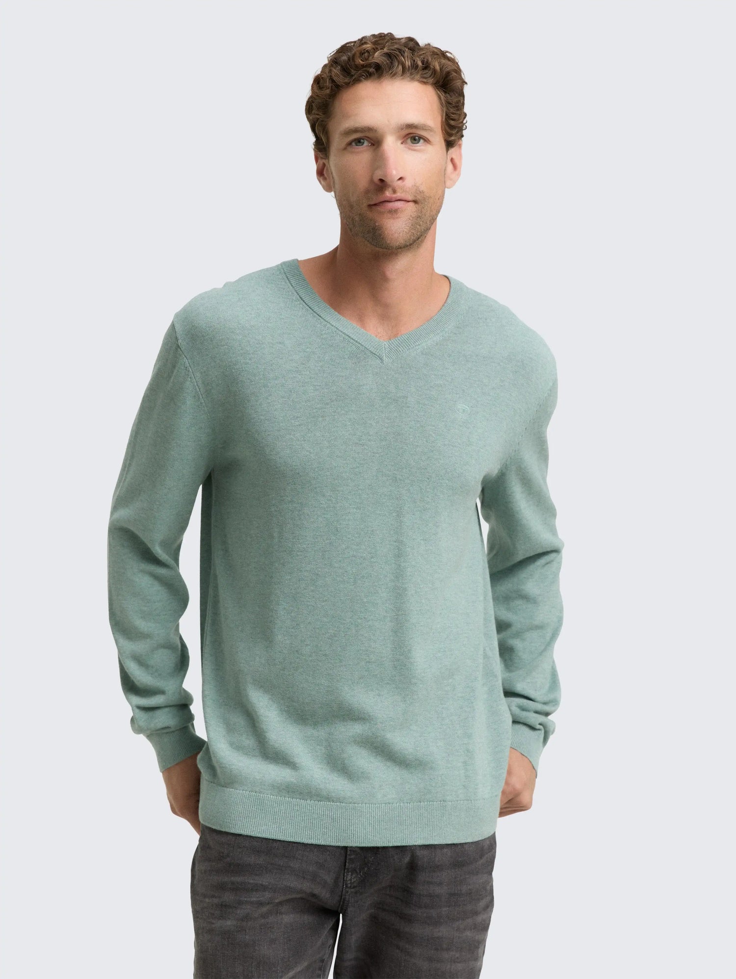 Tom Tailor_0_Cotton V-Neck Knitted Jumper_1039811_28732_02