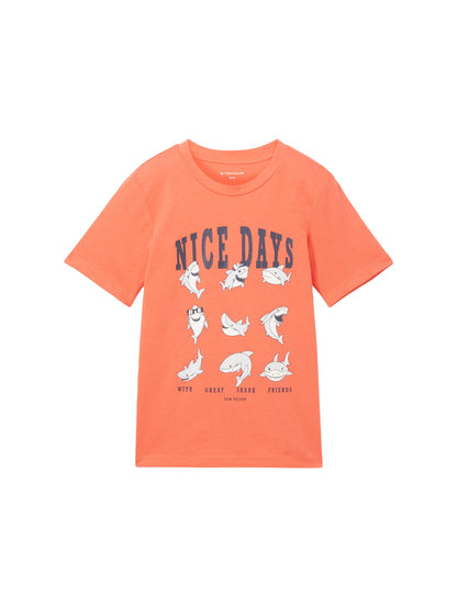 Printed T-Shirt_1040459_12643_01