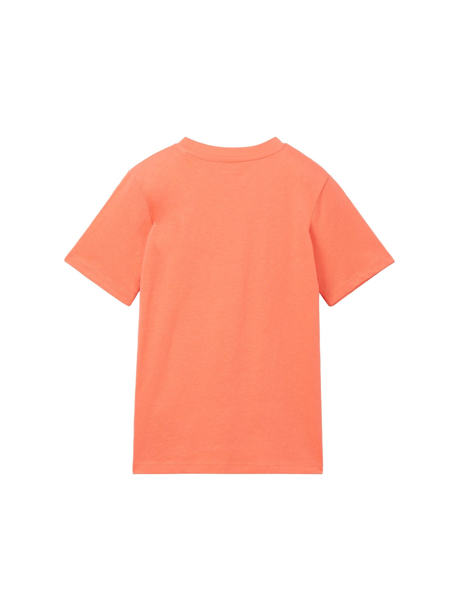 Printed T-Shirt_1040459_12643_02
