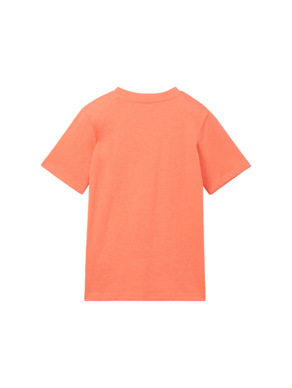 Printed T-Shirt_1040459_12643_02