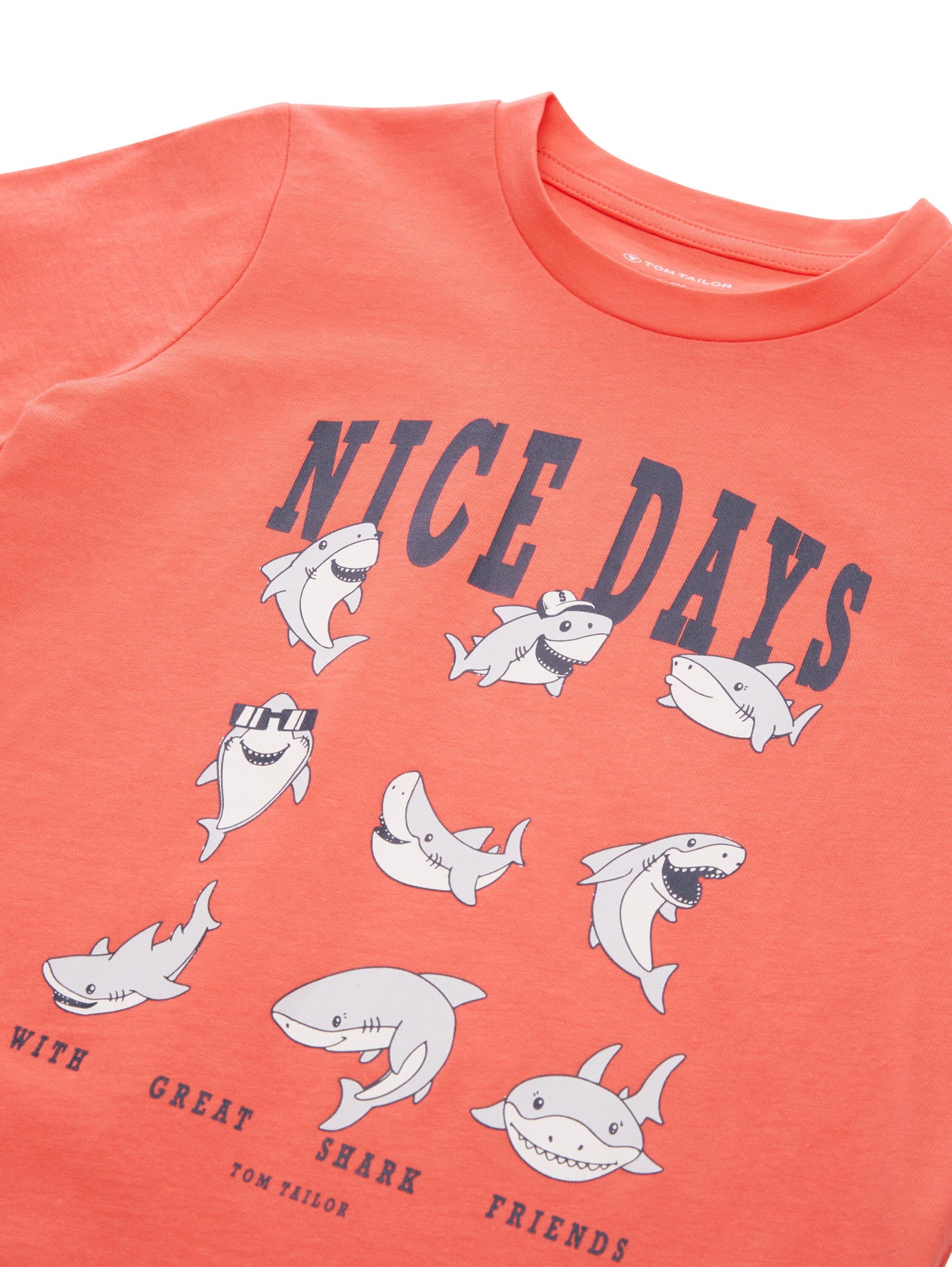 Printed T-Shirt_1040459_12643_03