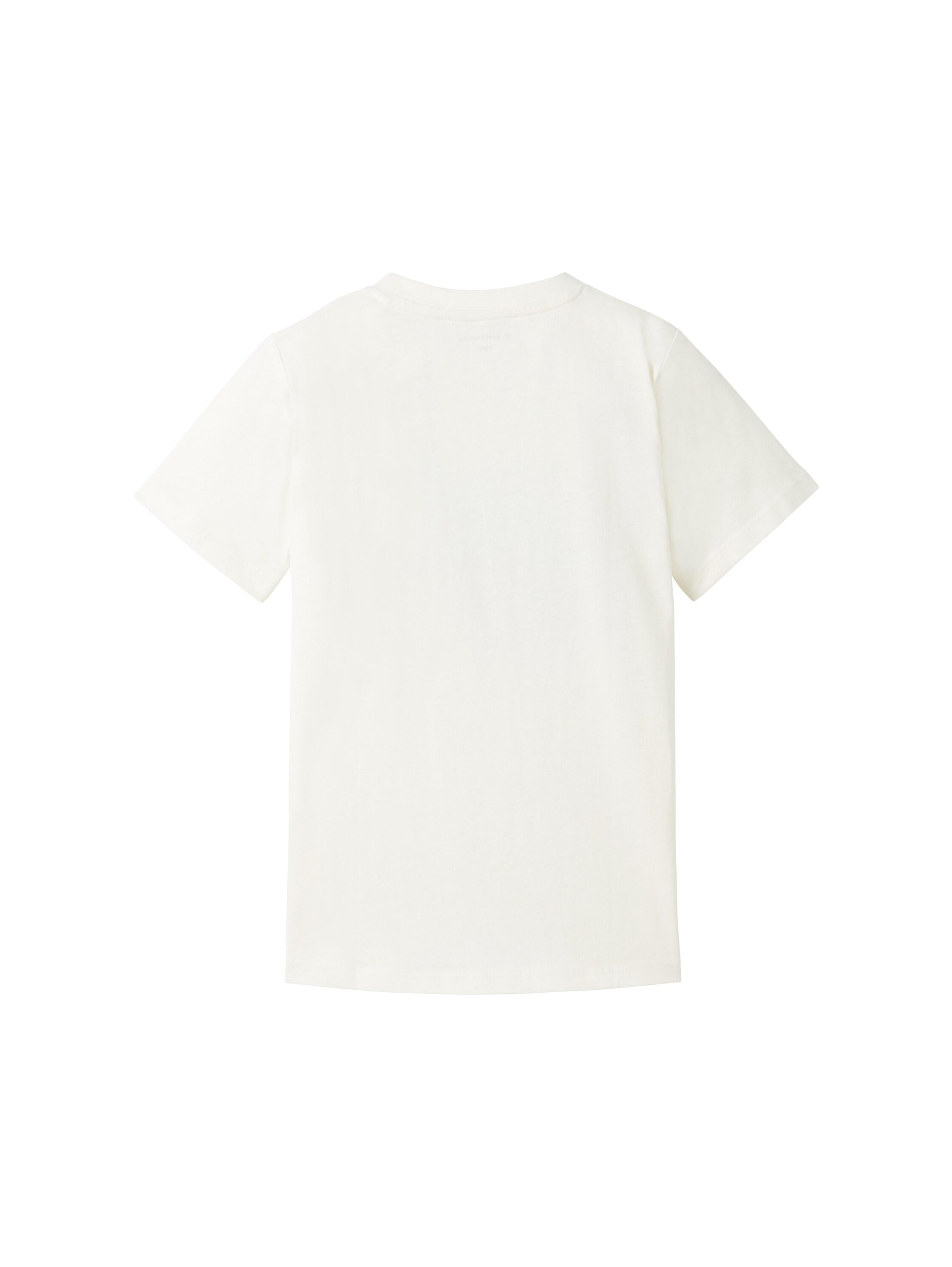 Printed T-Shirt_1040462_12906_02