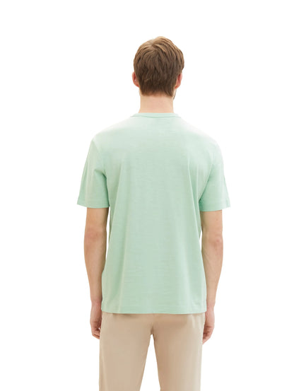 Tom Tailor Paradise Mint Men T-Shirt with a Logo Print SKU: 1040821_23383 Image 03