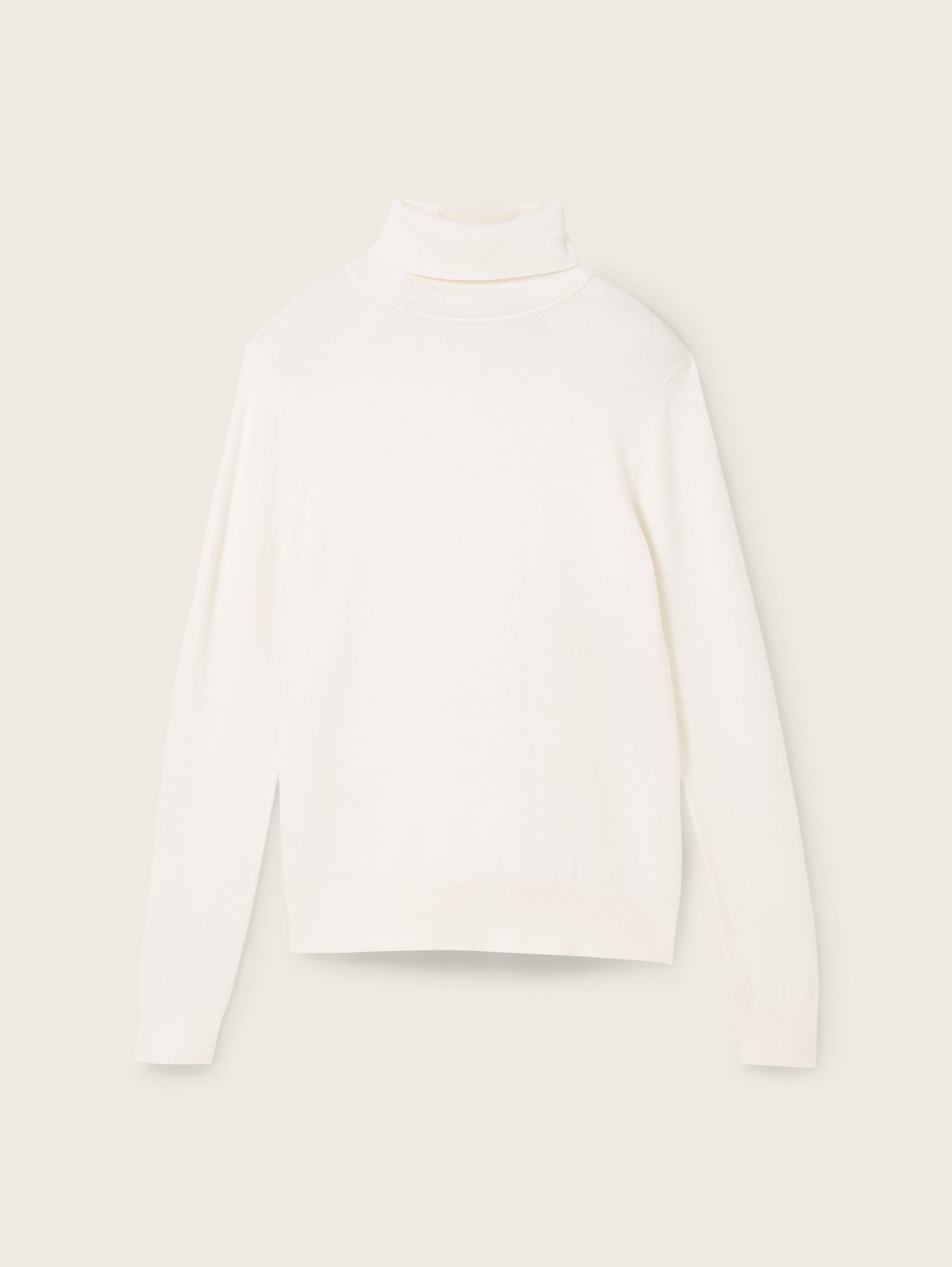 Basic Turtleneck_1042959_10315_02