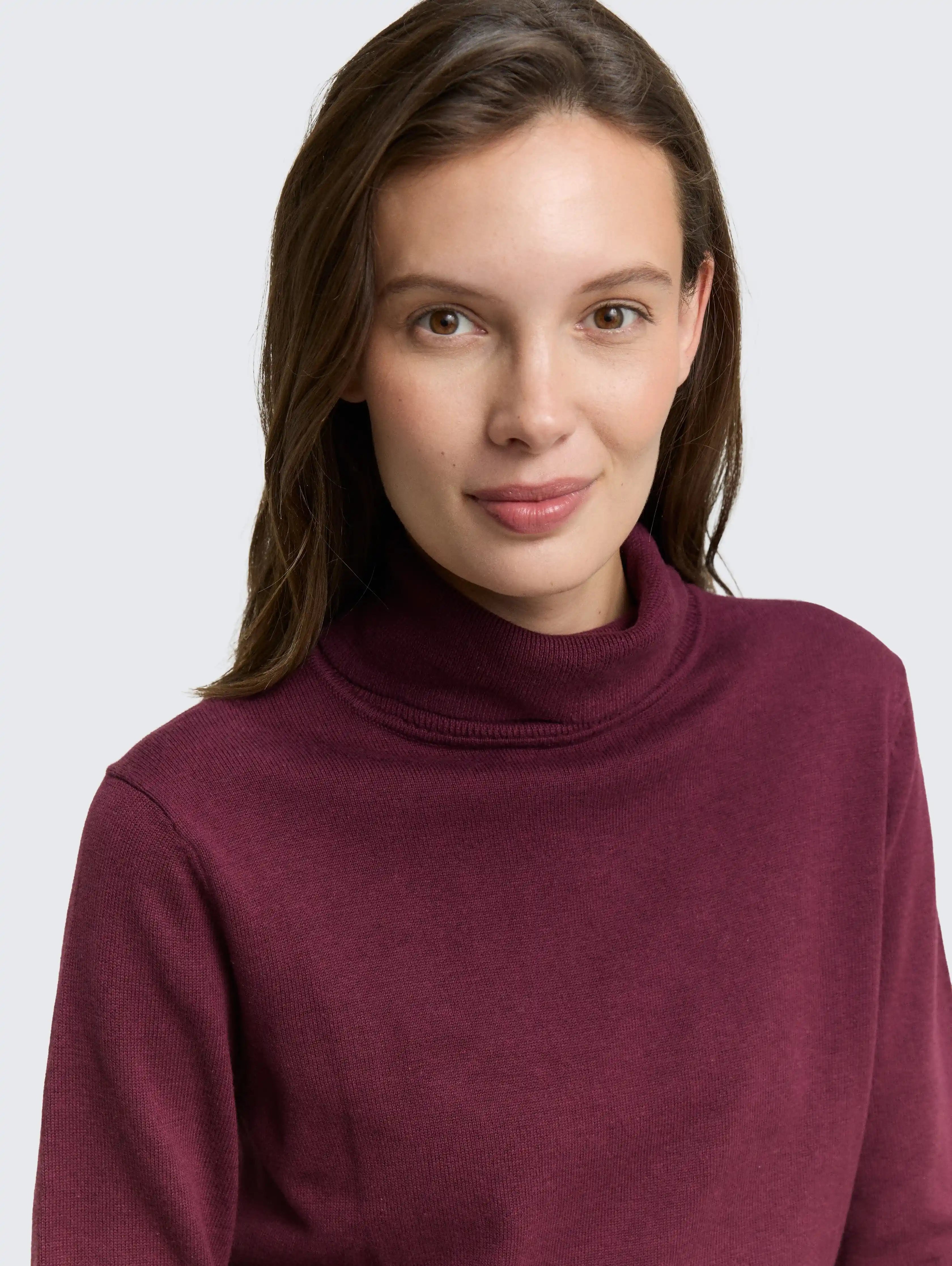 Tom Tailor_0_Basic Turtleneck Jumper_1047675_16427_05